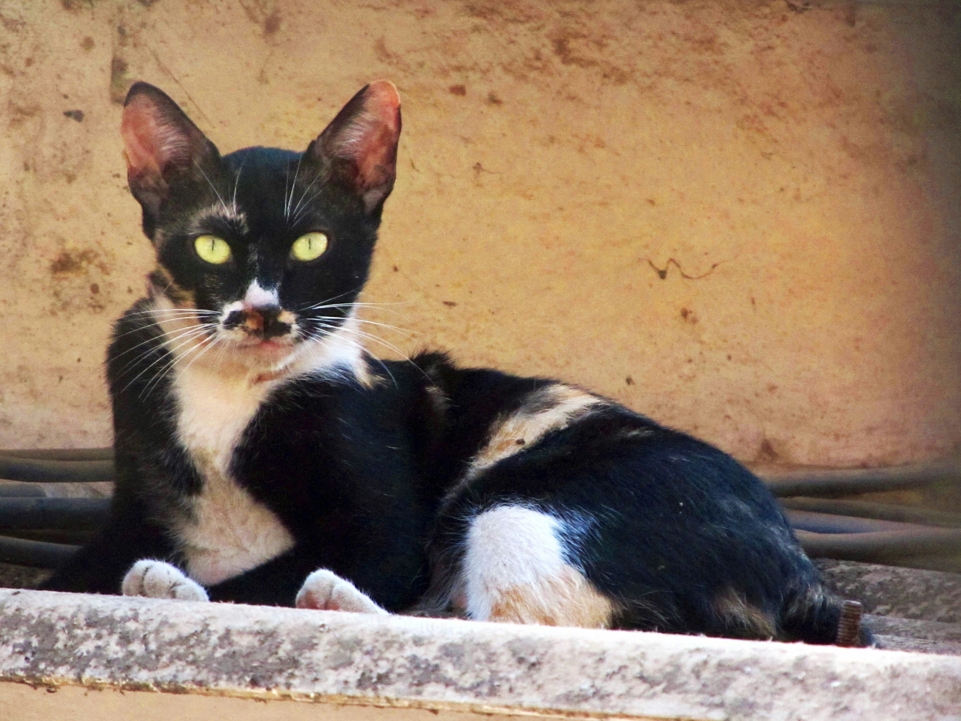 Potential Positive Outcomes (image credits: unsplash)