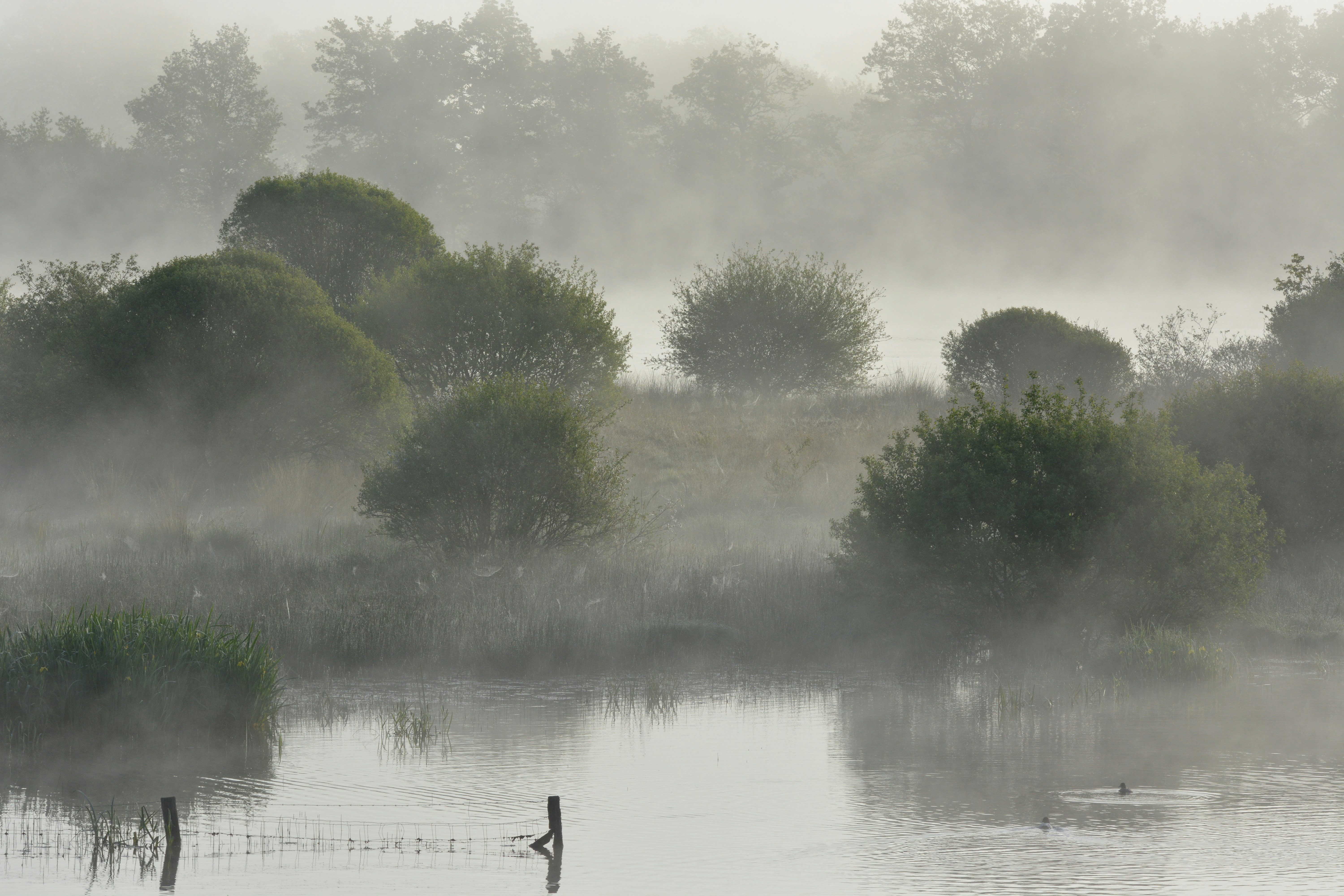 Photo by ashwinward18