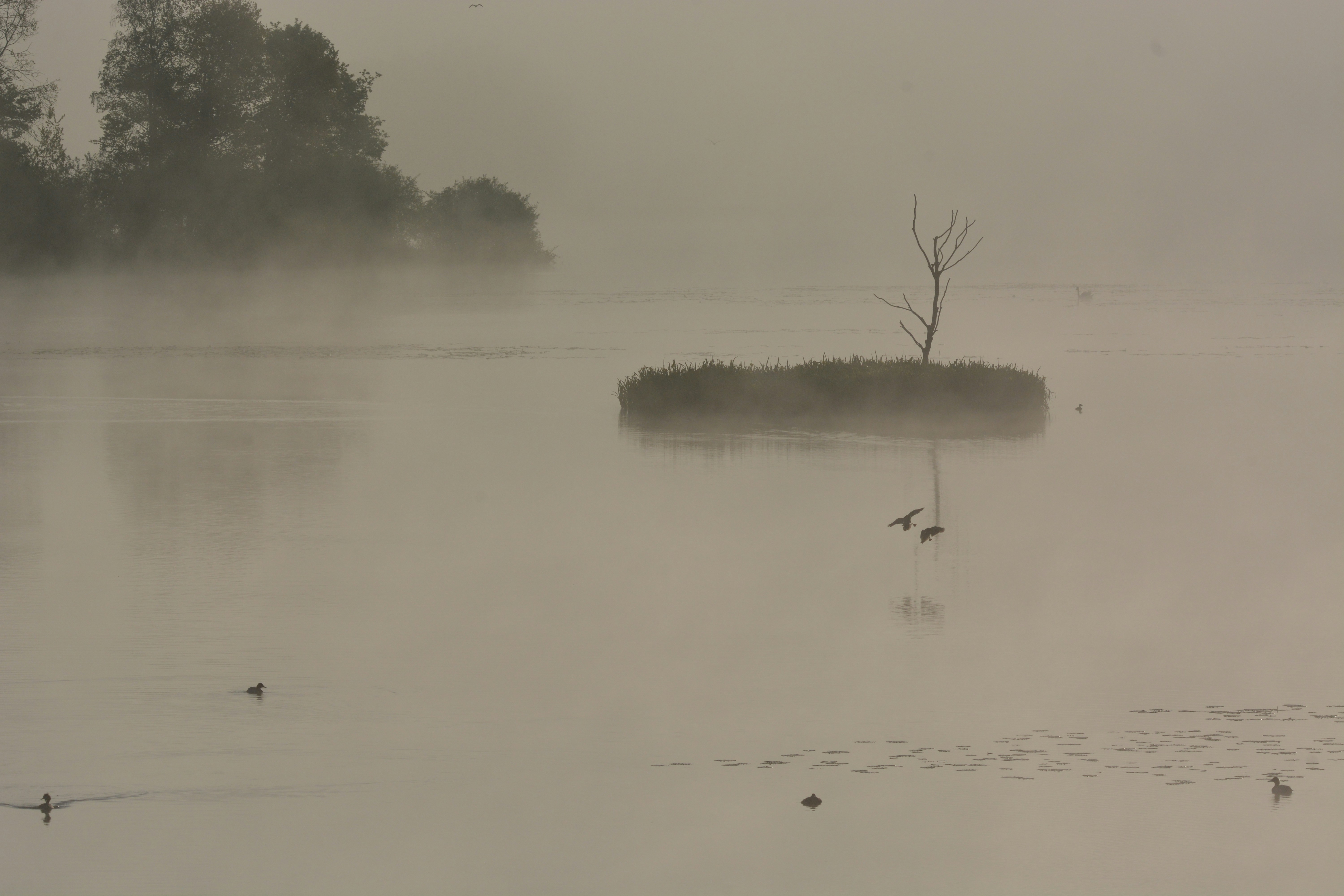 Photo by ashwinward18