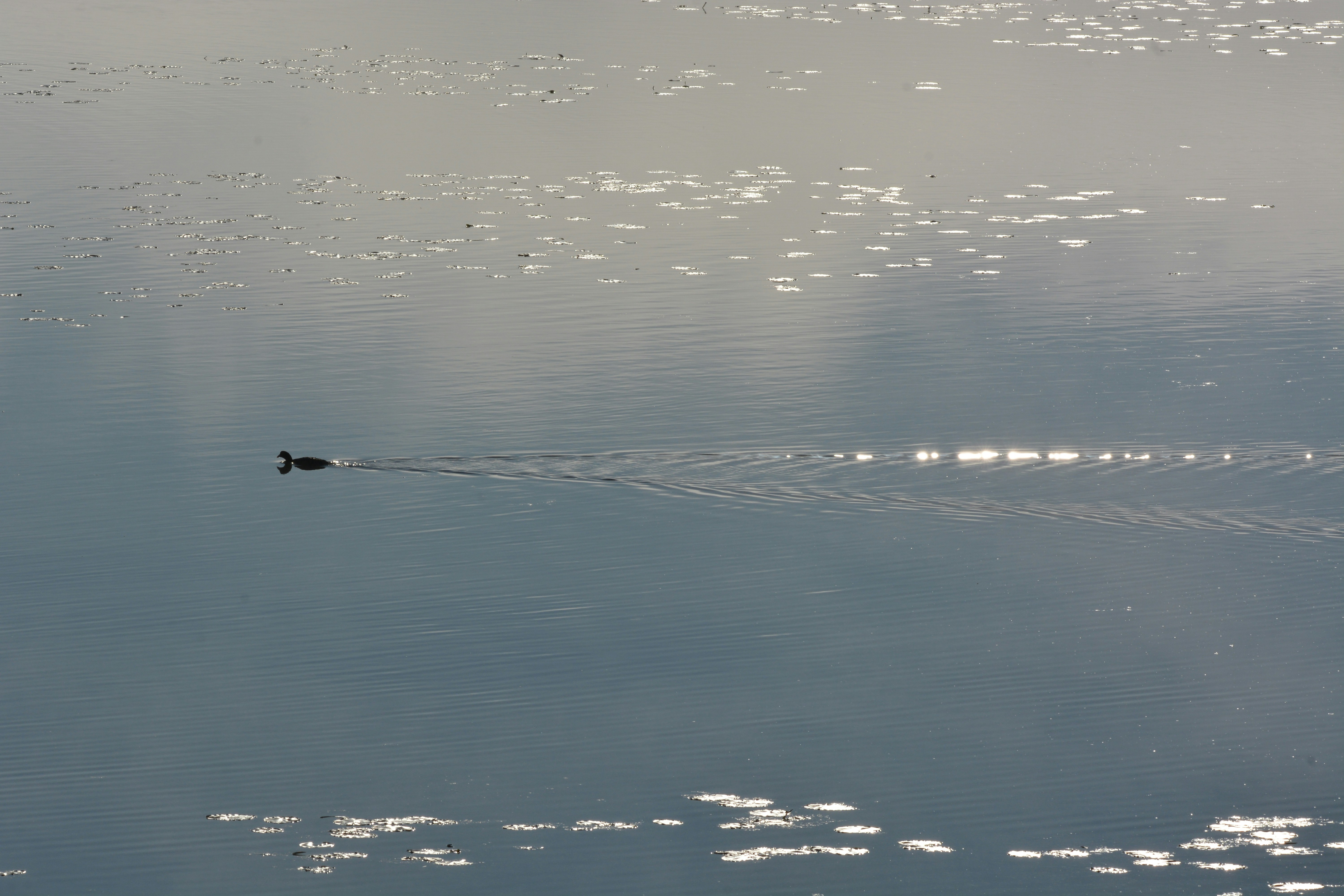 Photo by ashwinward18