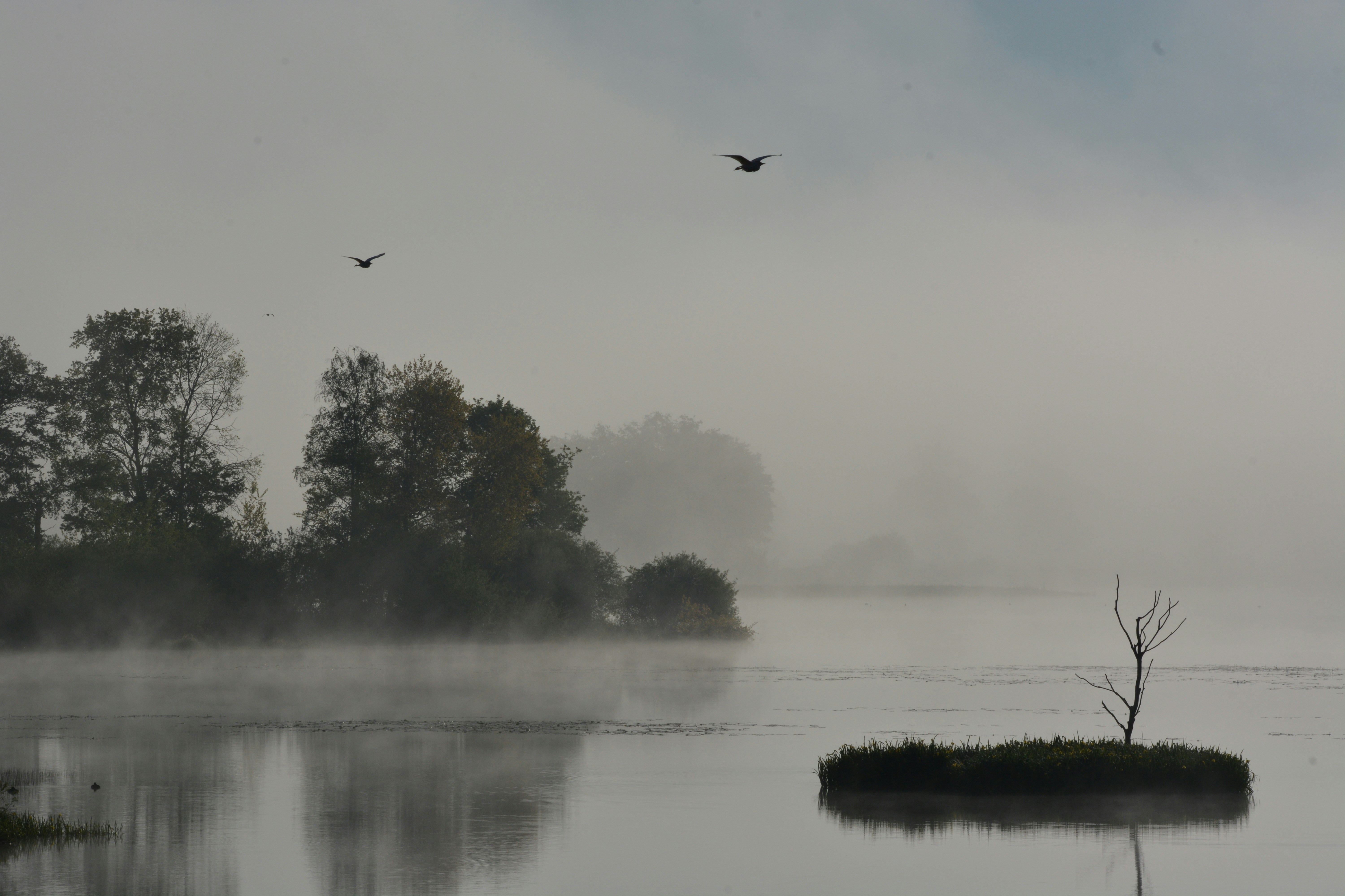 Photo by ashwinward18