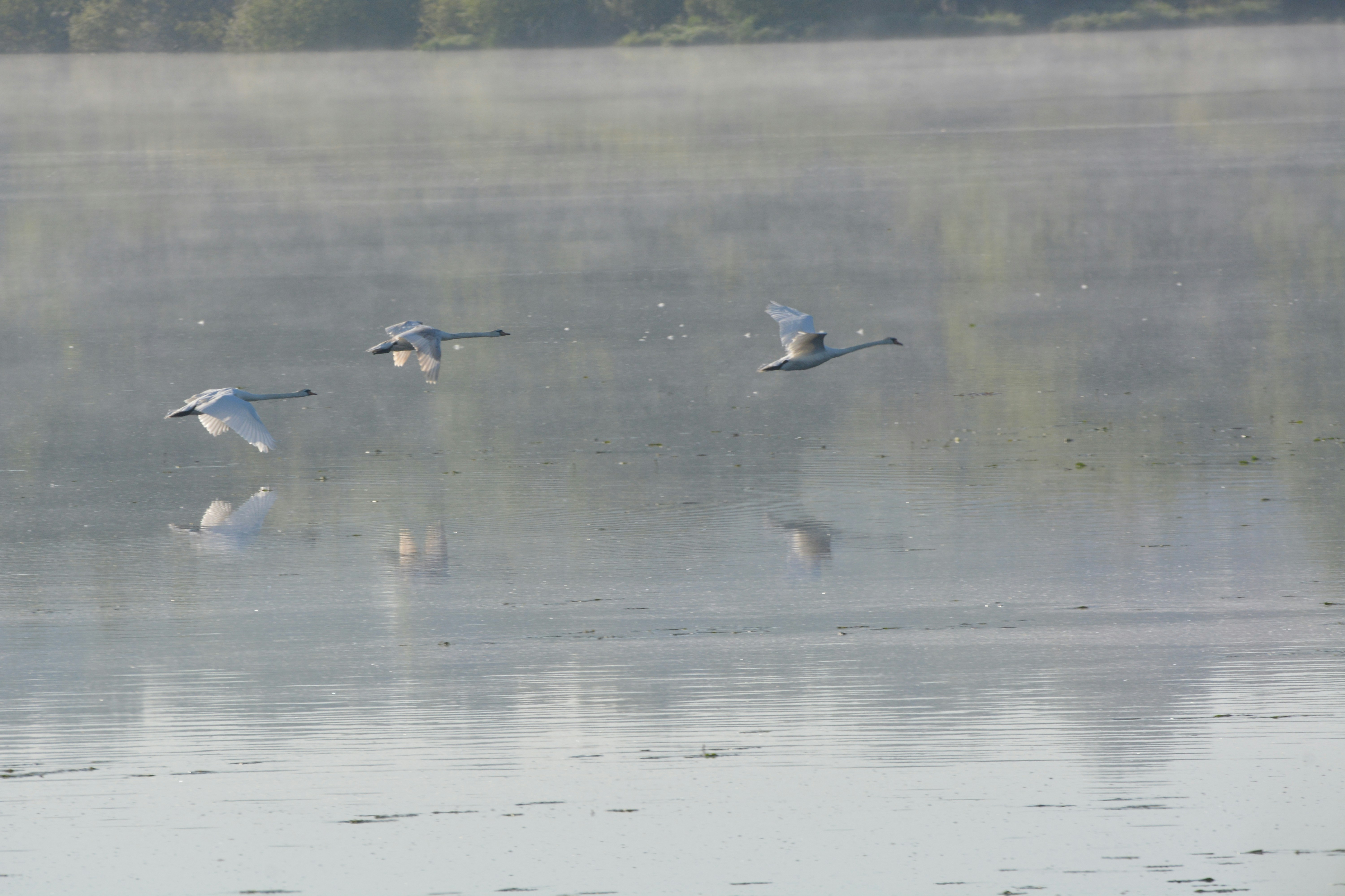 Photo by ashwinward18