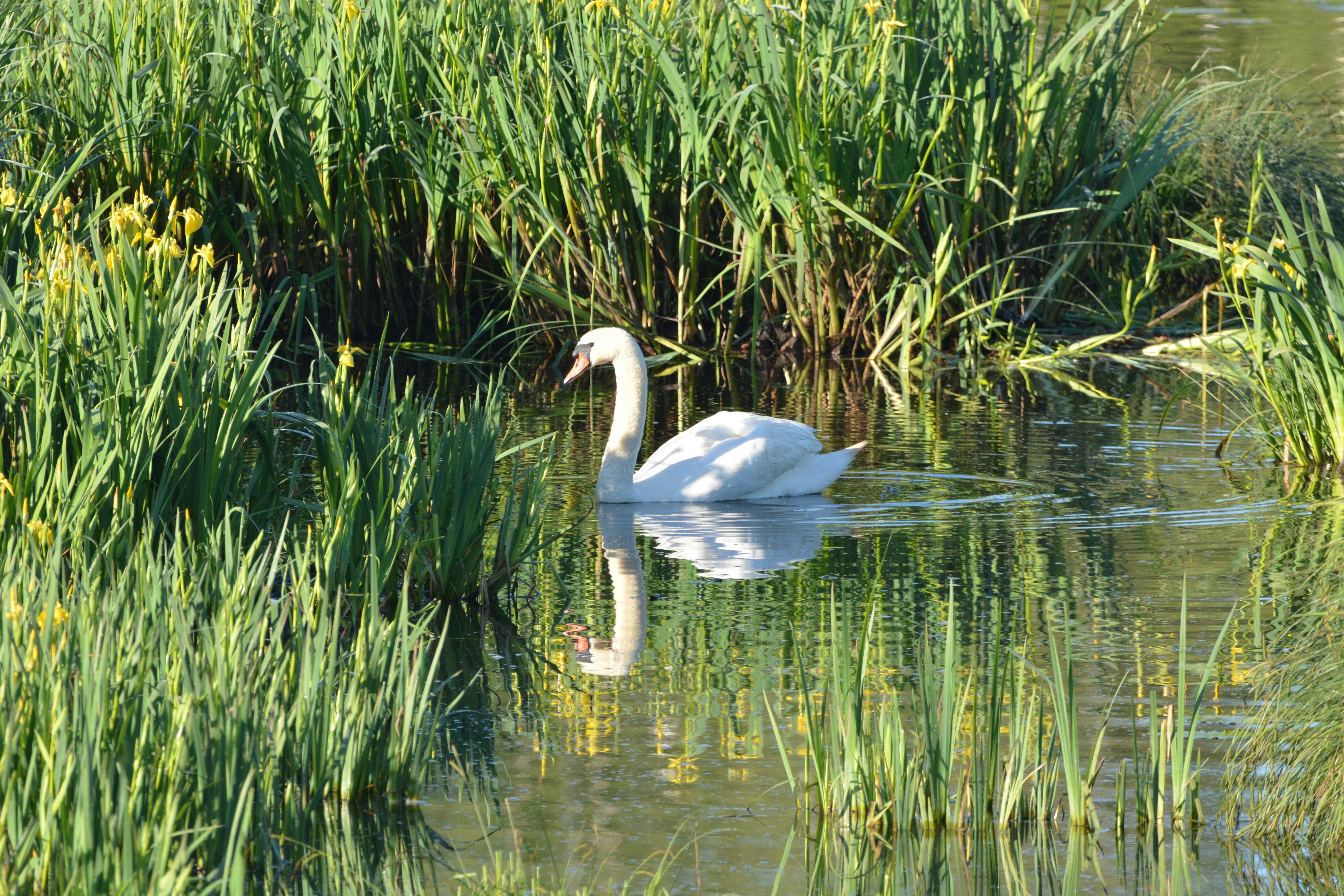 Photo by ashwinward18