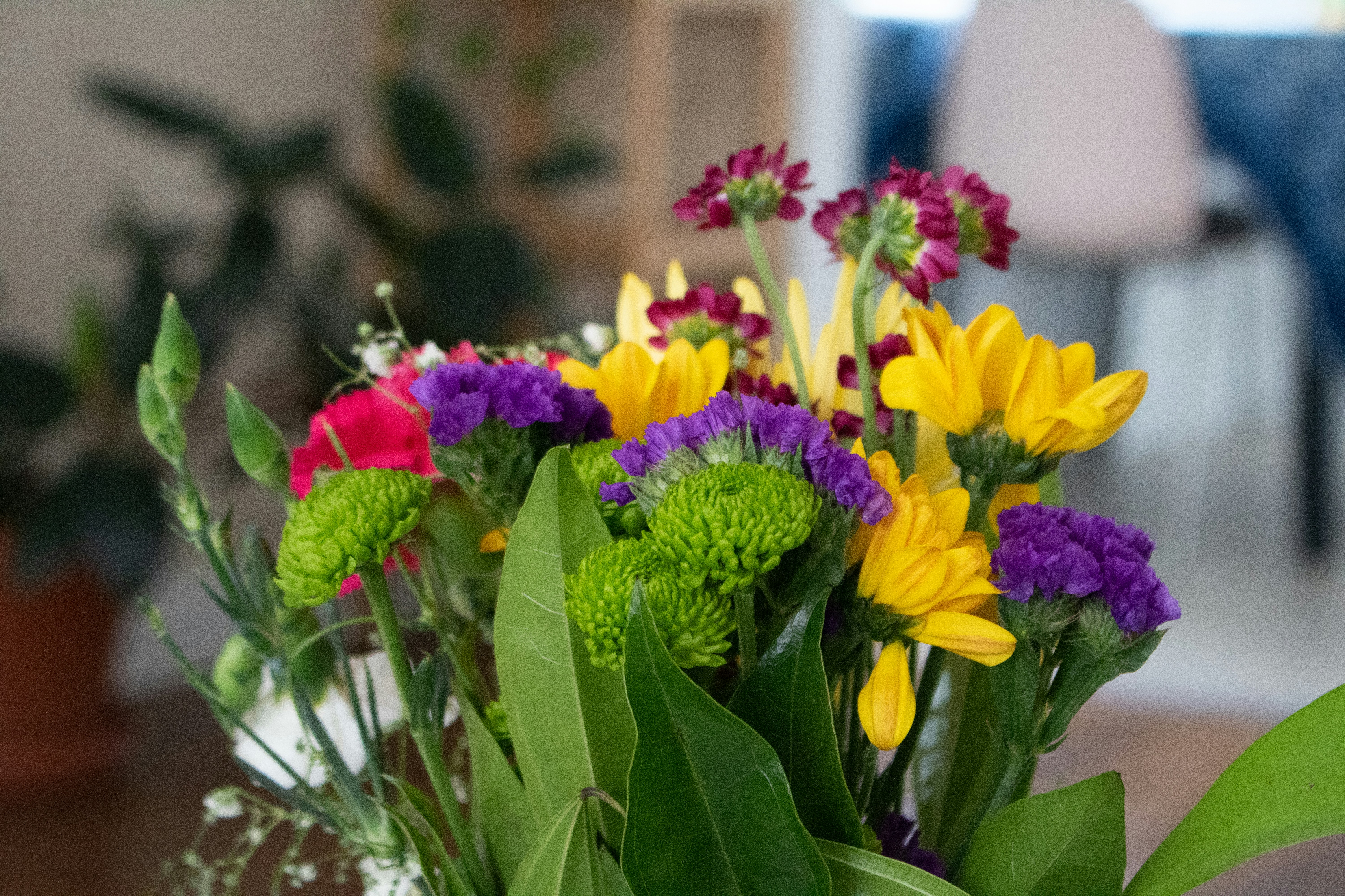 Photo by zoshuacolah