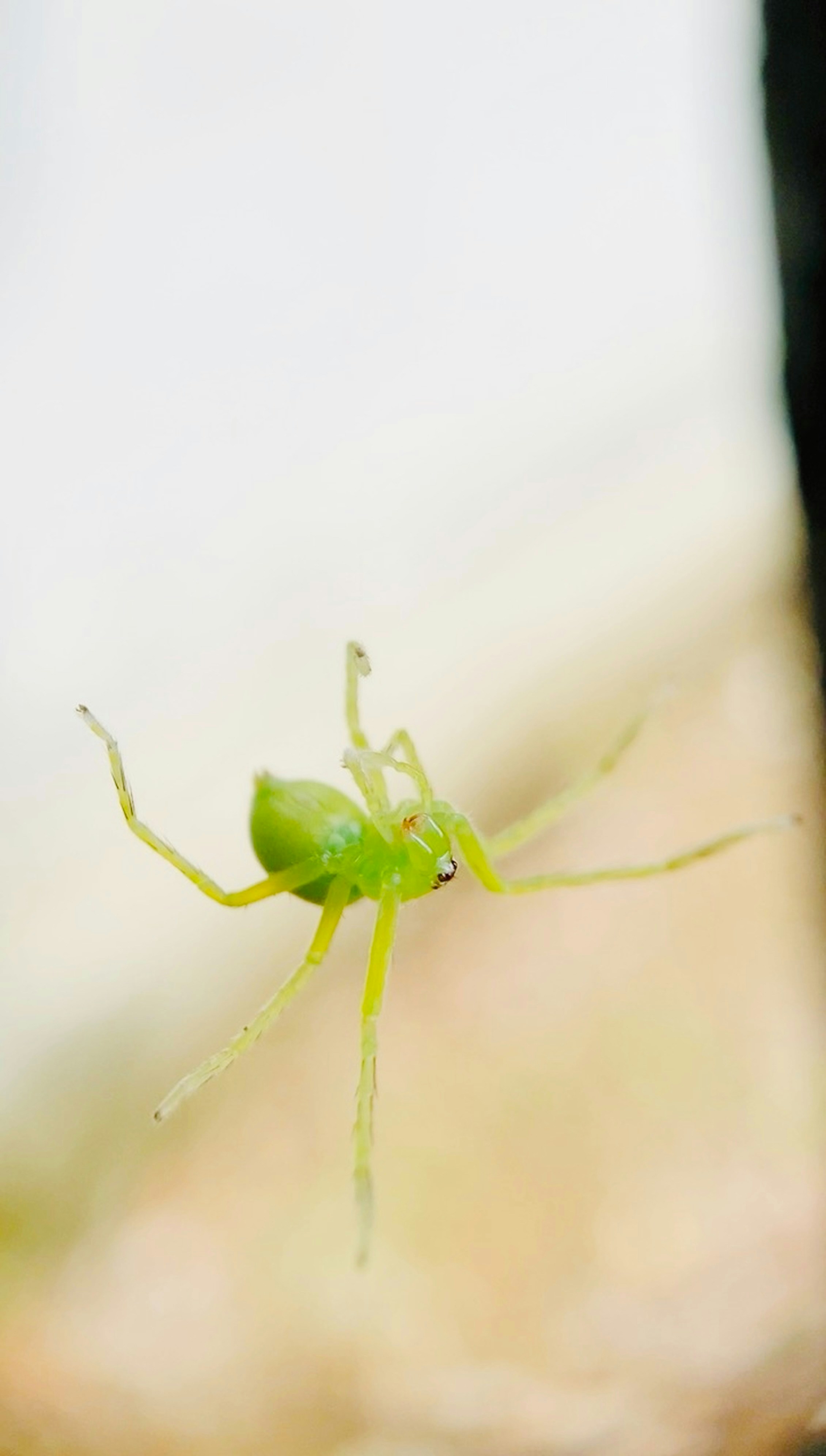 Photo by musing_photography