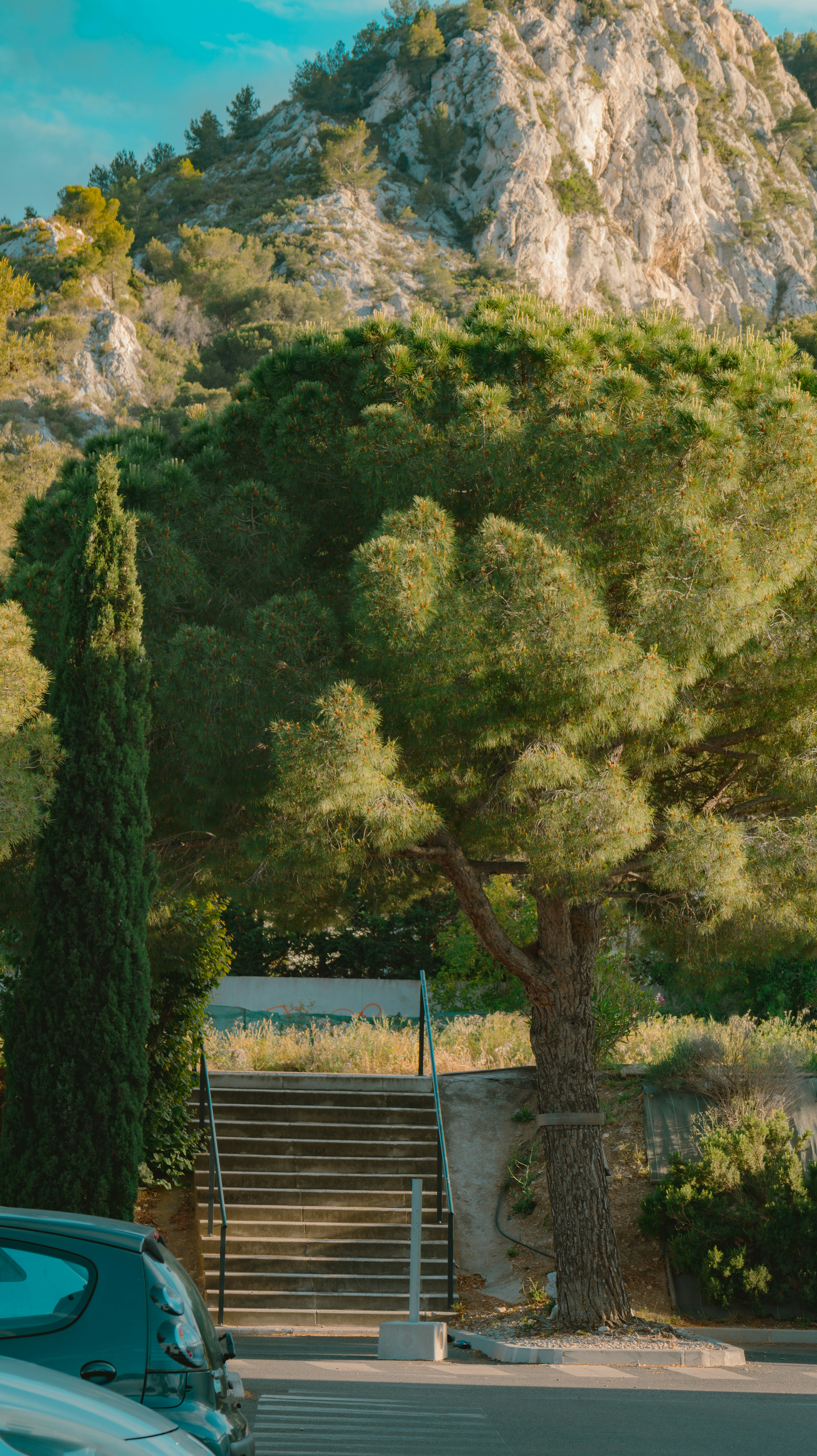 Photo by abdelkader1001