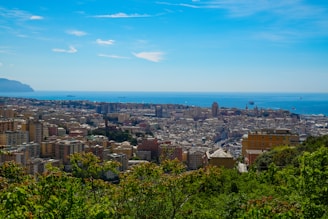 a view of a city and the ocean from the top of a hill