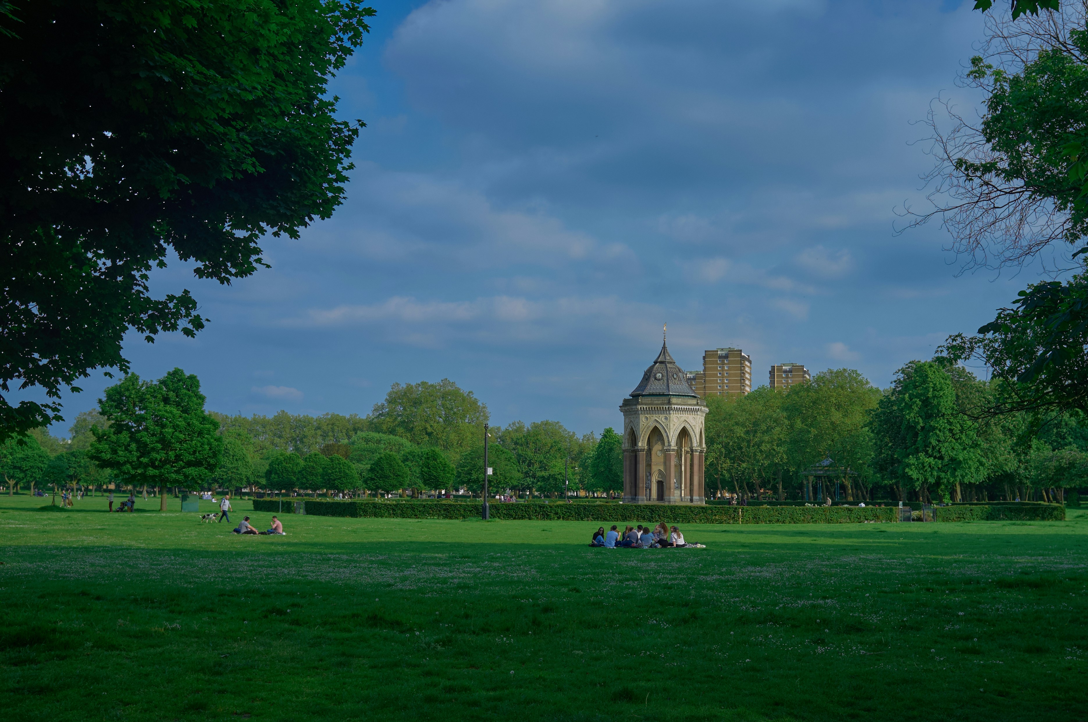 a group of people sitting on top of a lush green field