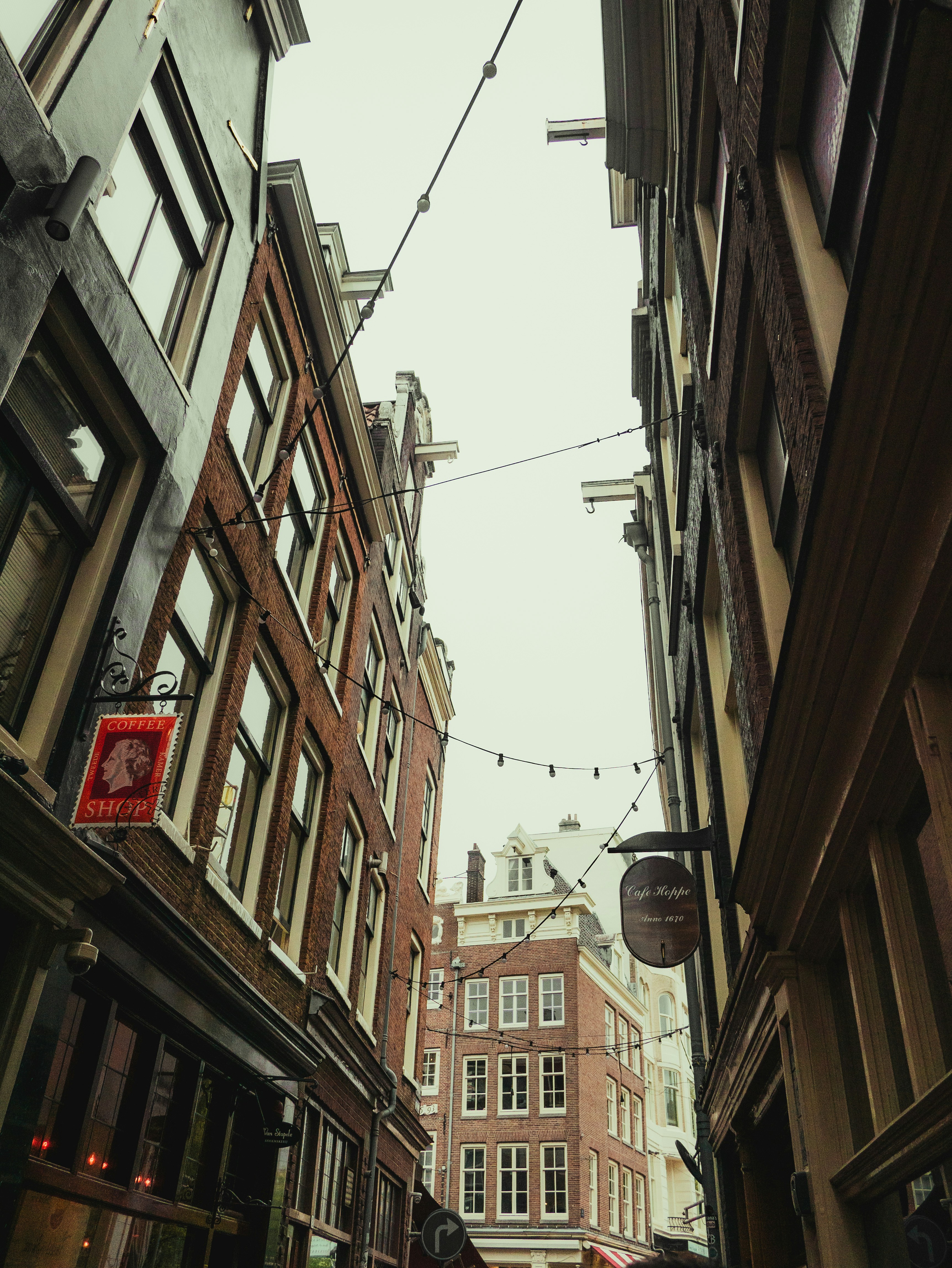 Photo by kingkonggeorge