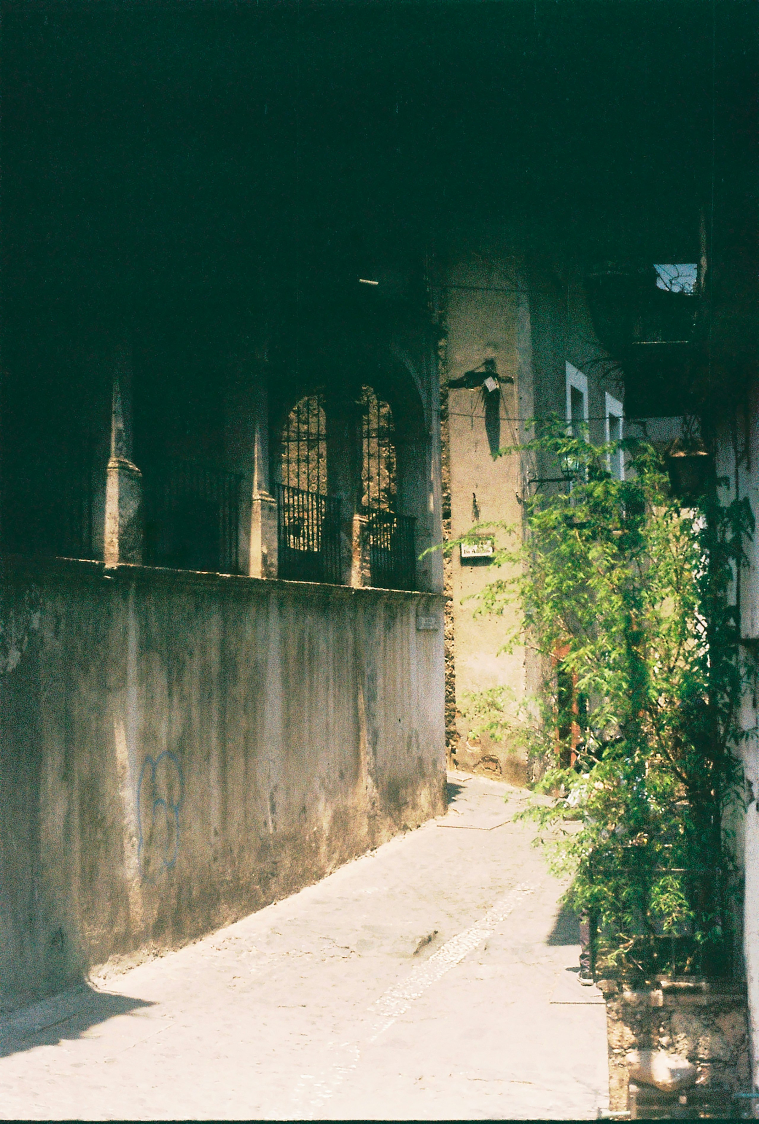 Photo by thefrankfuentes