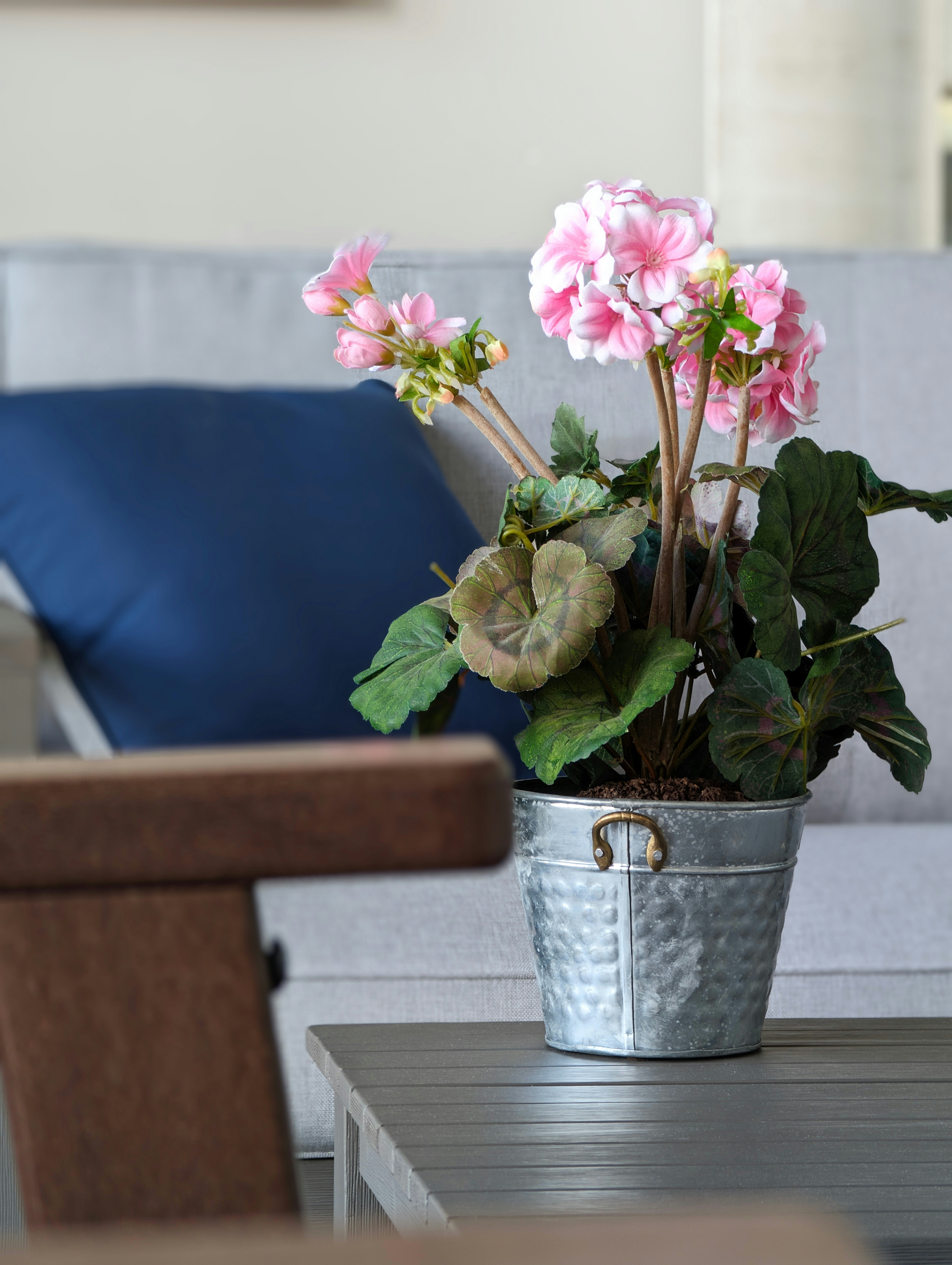 a potted plant on a table in a living room