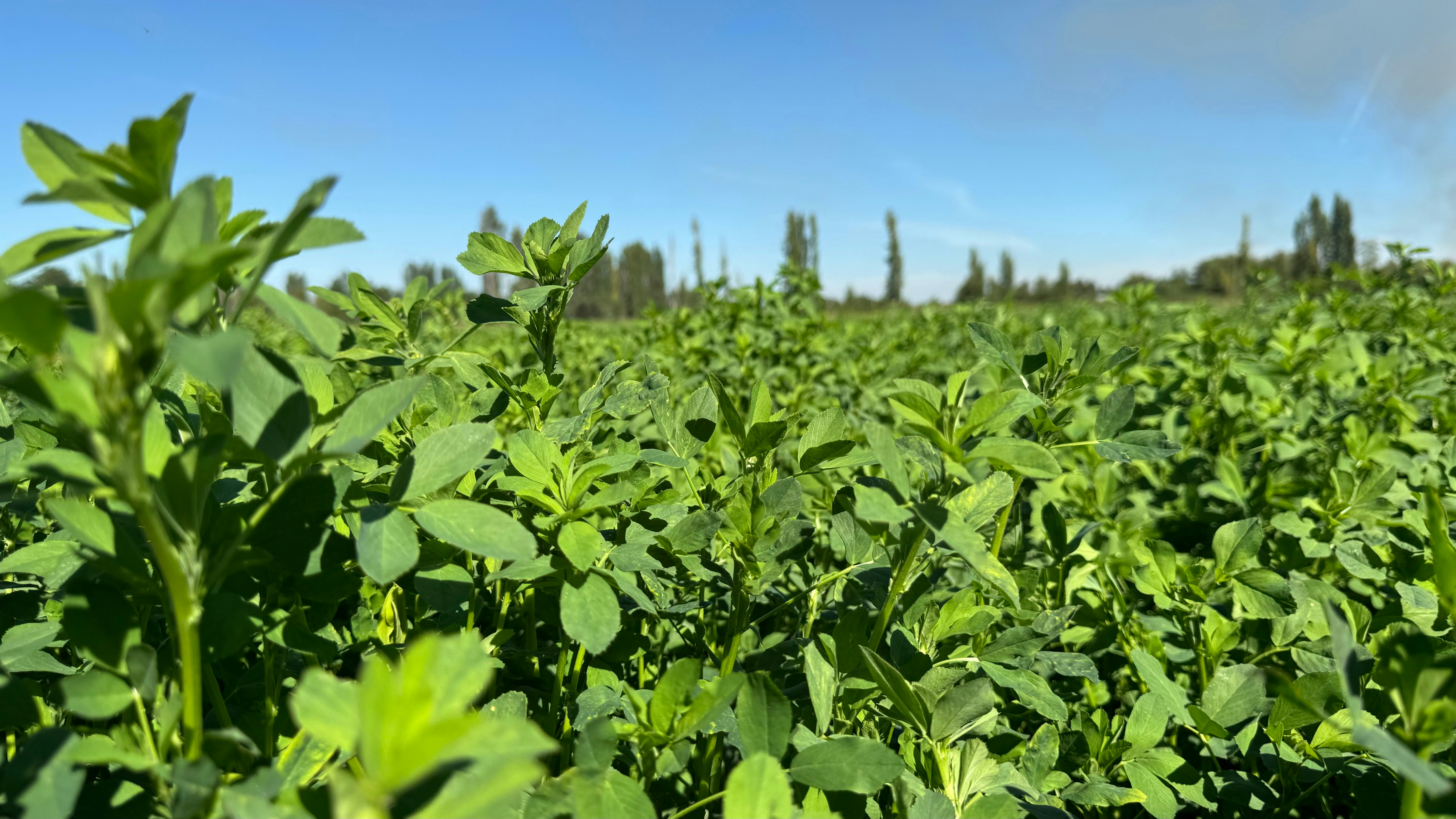 AgriFORCE Growing Systems (AGRI) Announces Shareholder Approval in Support of First Publicly-Traded Avalanche-Focused Company on Nasdaq