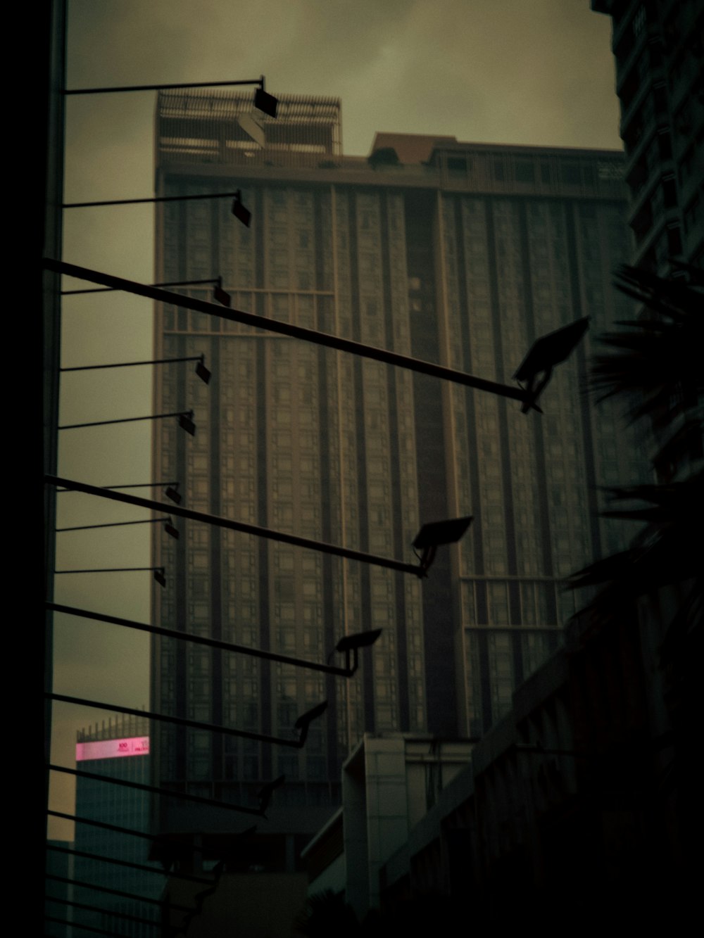 birds are sitting on wires in front of a tall building