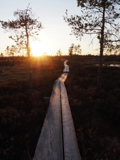 a wooden walkway in the middle of a field