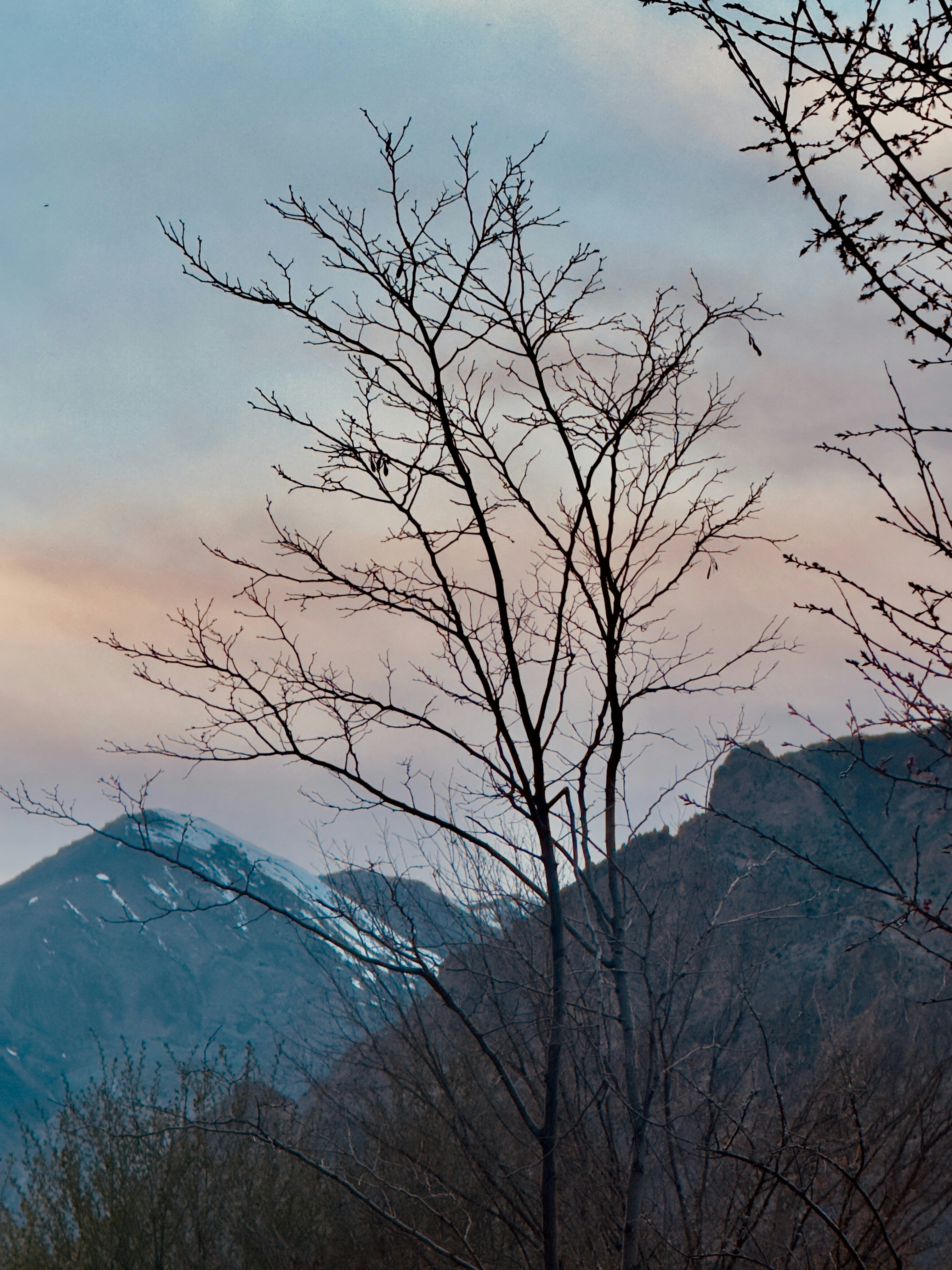 Photo by ktariq