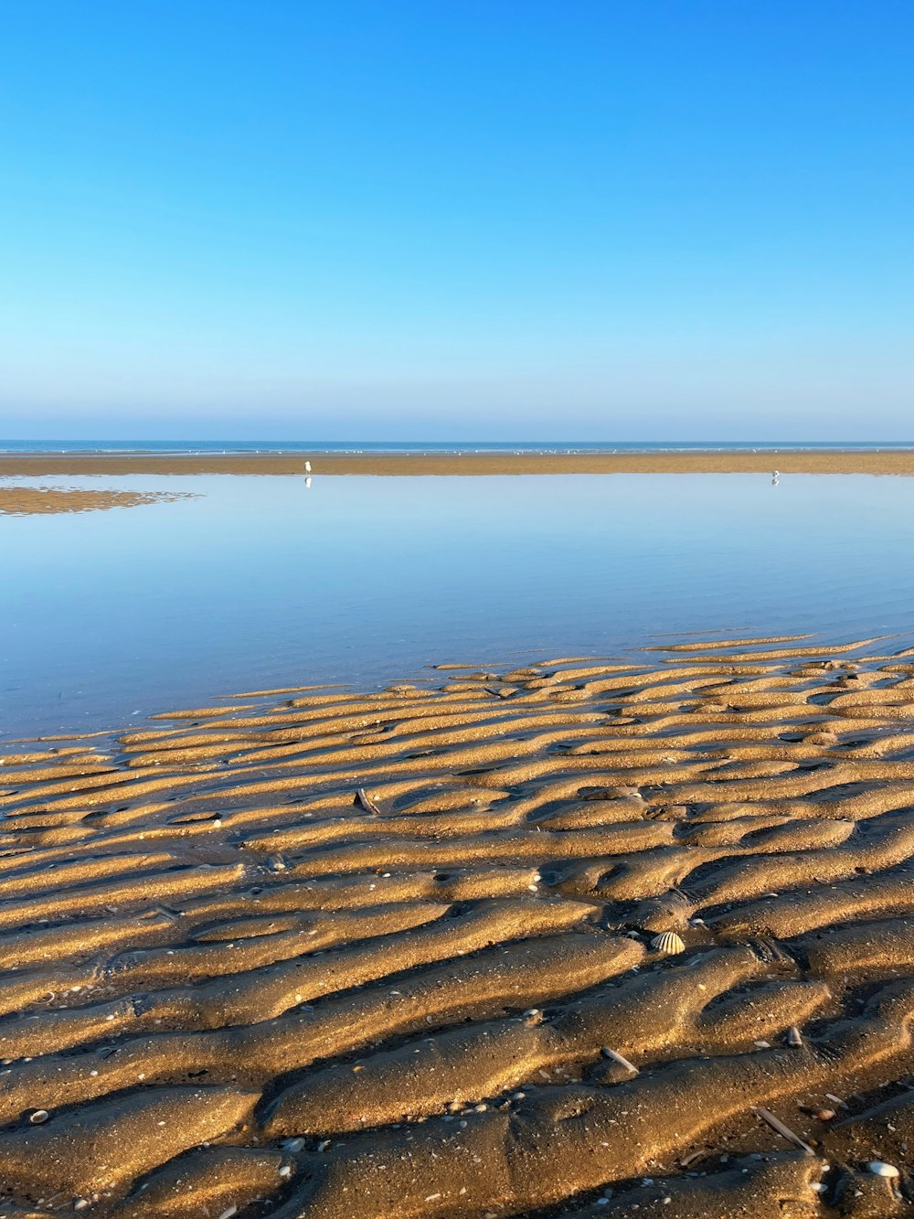 uma praia de areia com um corpo de água no fundo