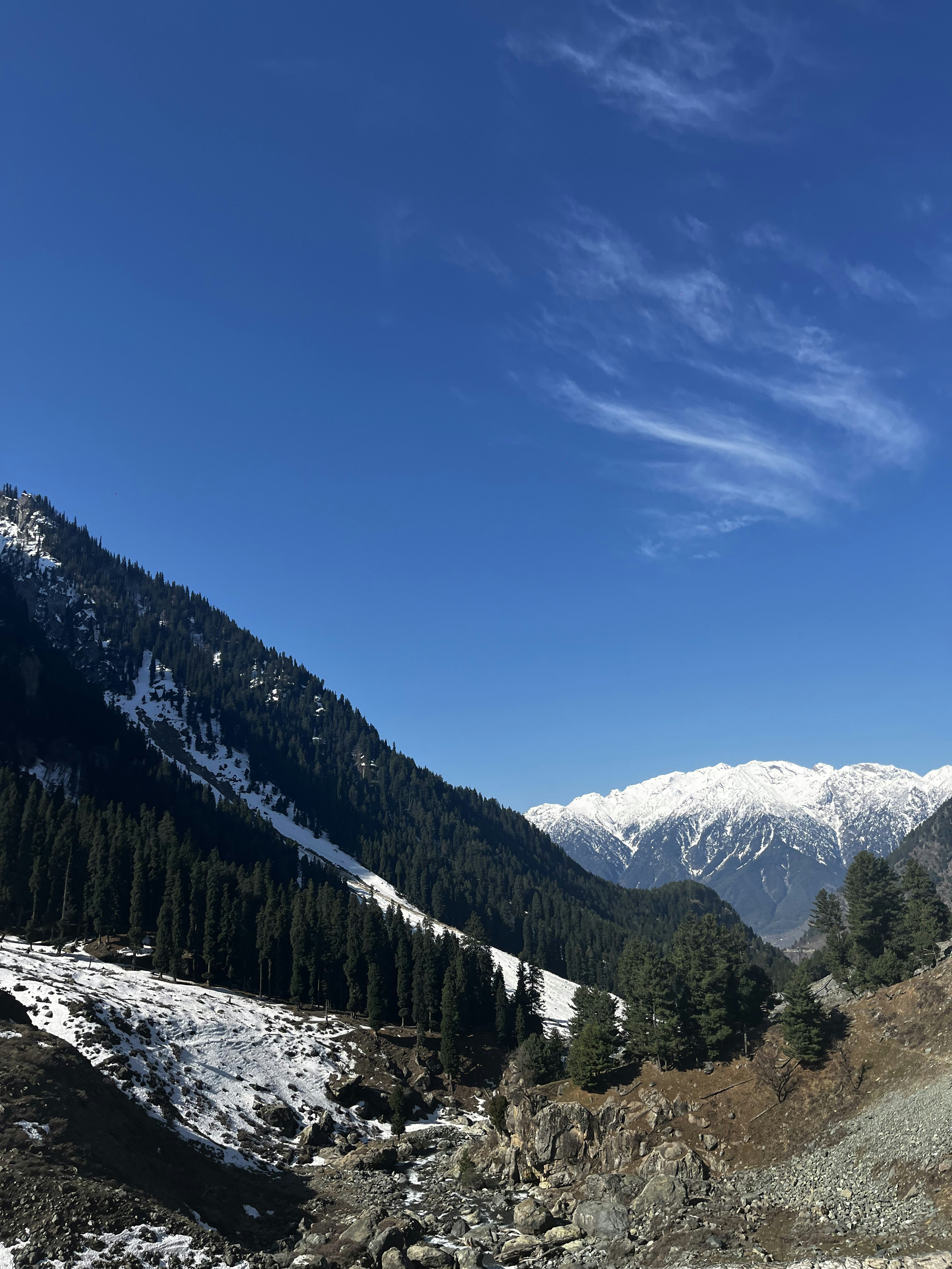 Kashmir Special Honeymoon Package