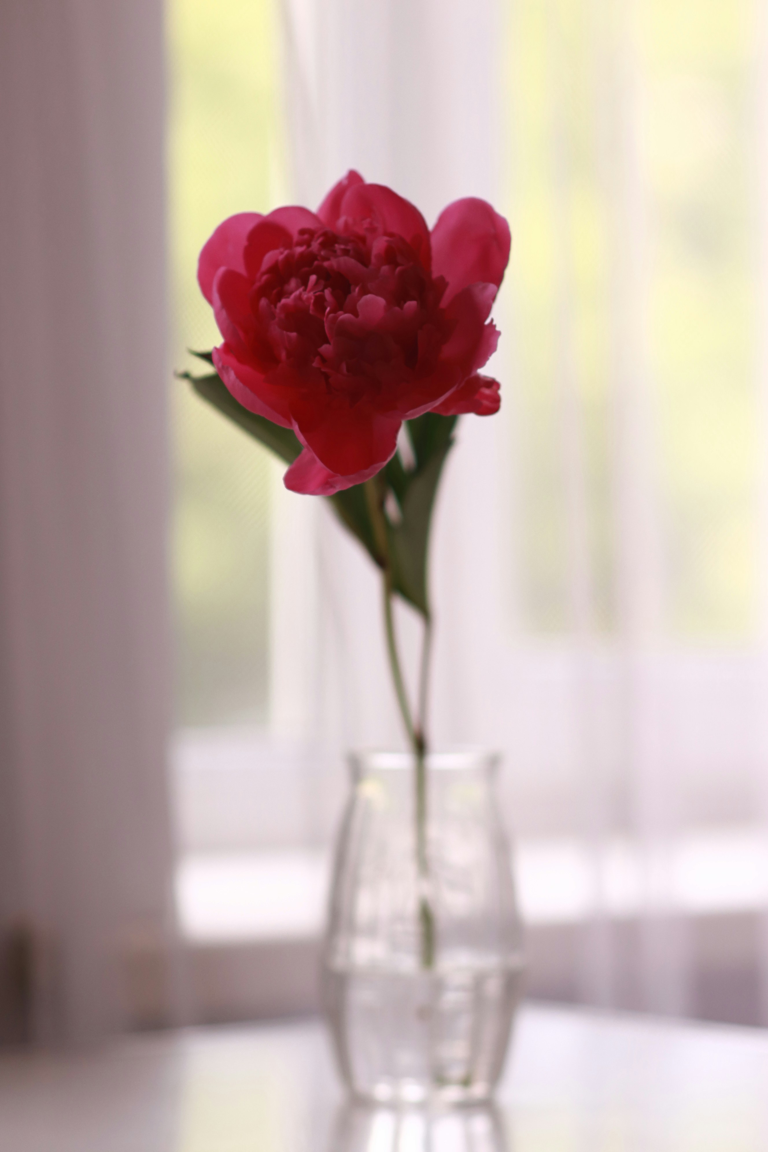 Photo by marthasobotyk