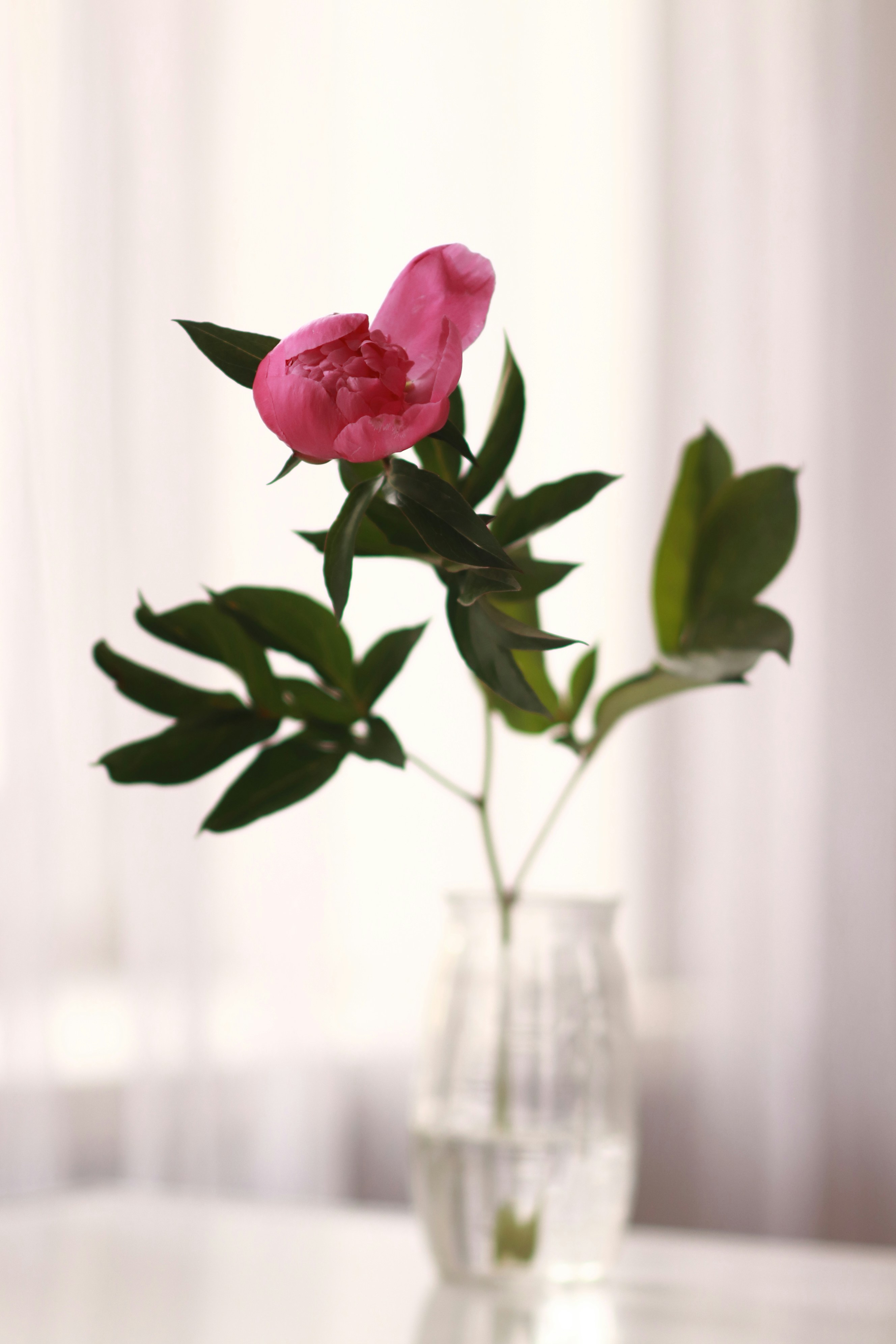 Photo by marthasobotyk