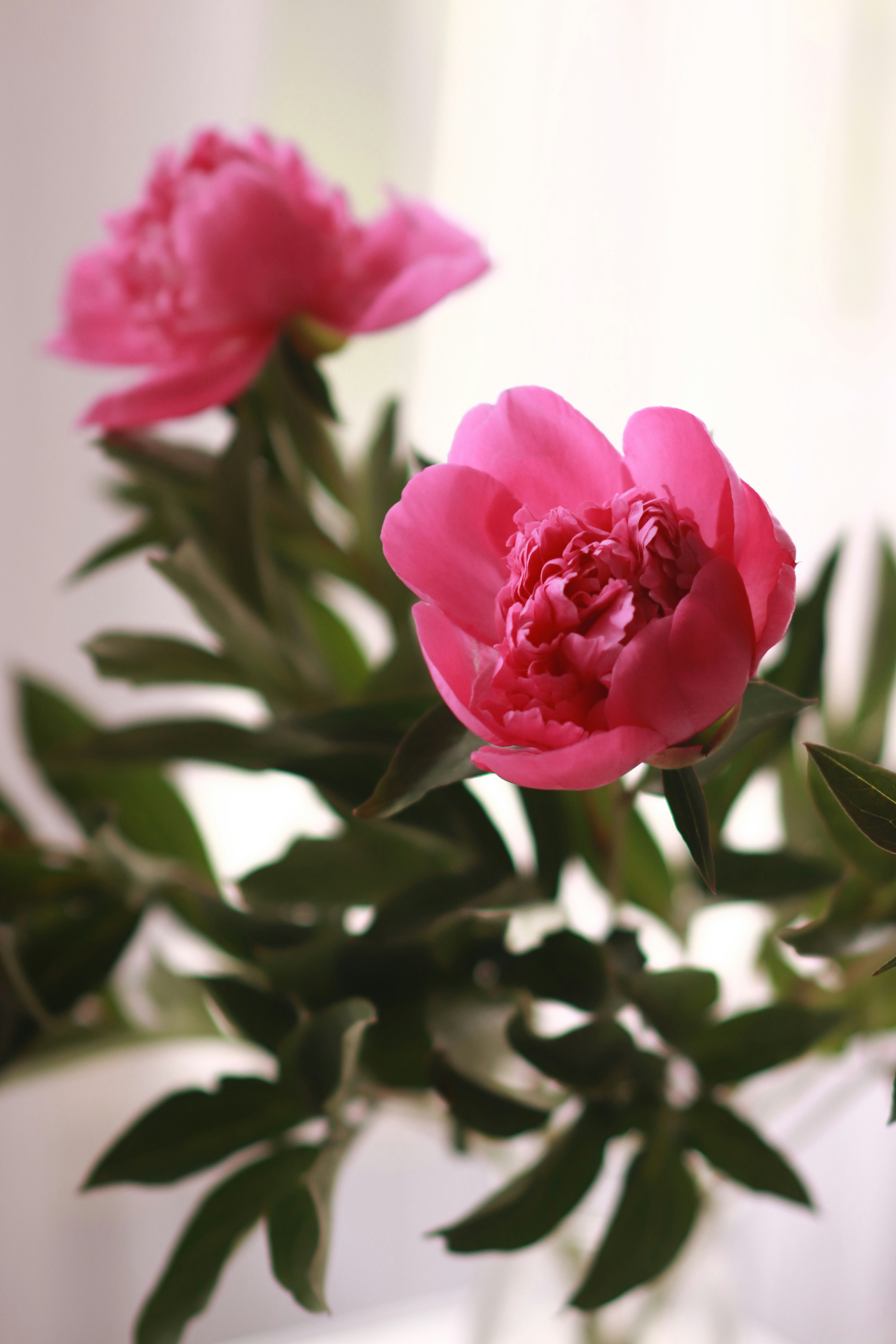 Photo by marthasobotyk