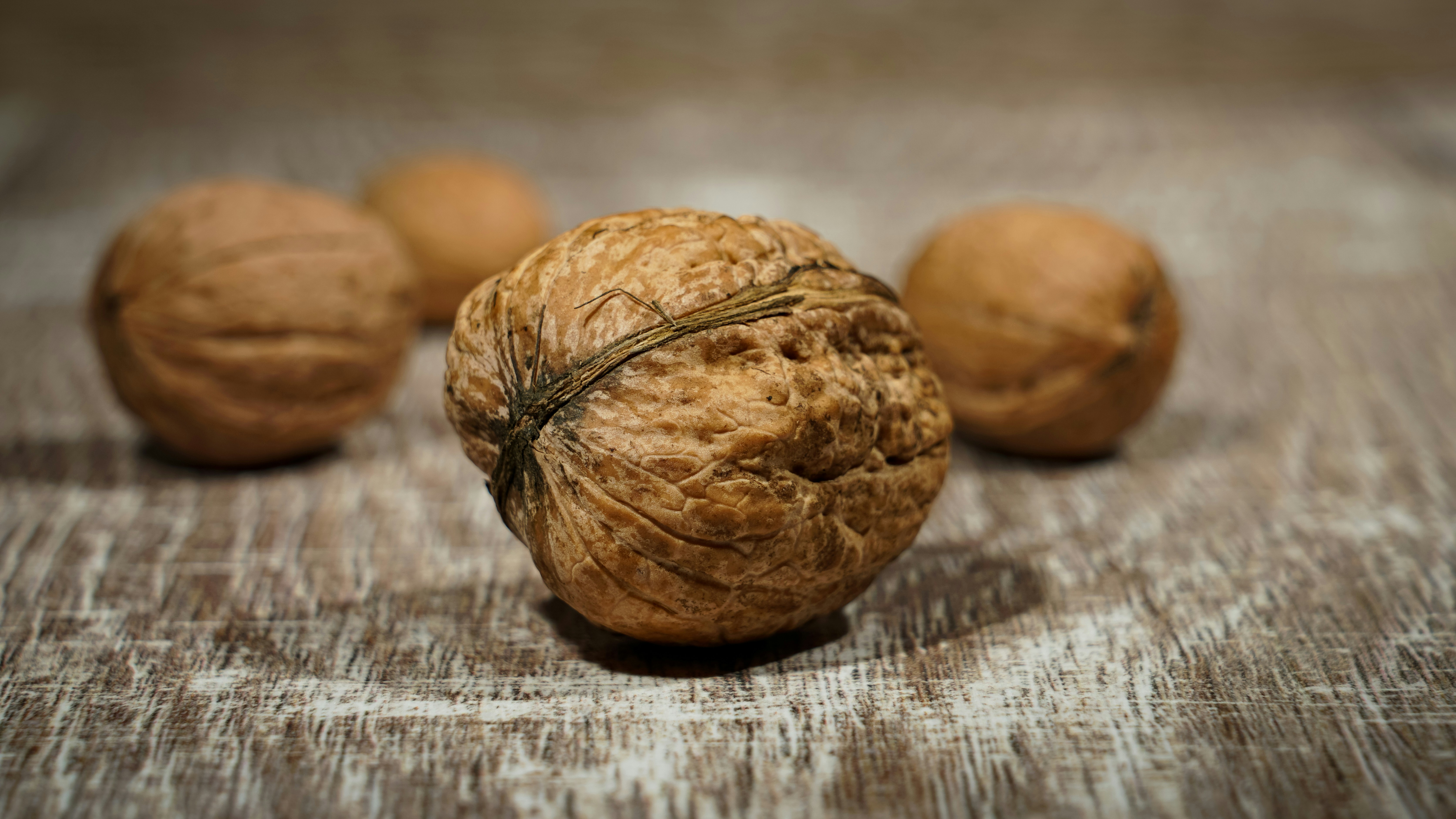 Photo by magictravel