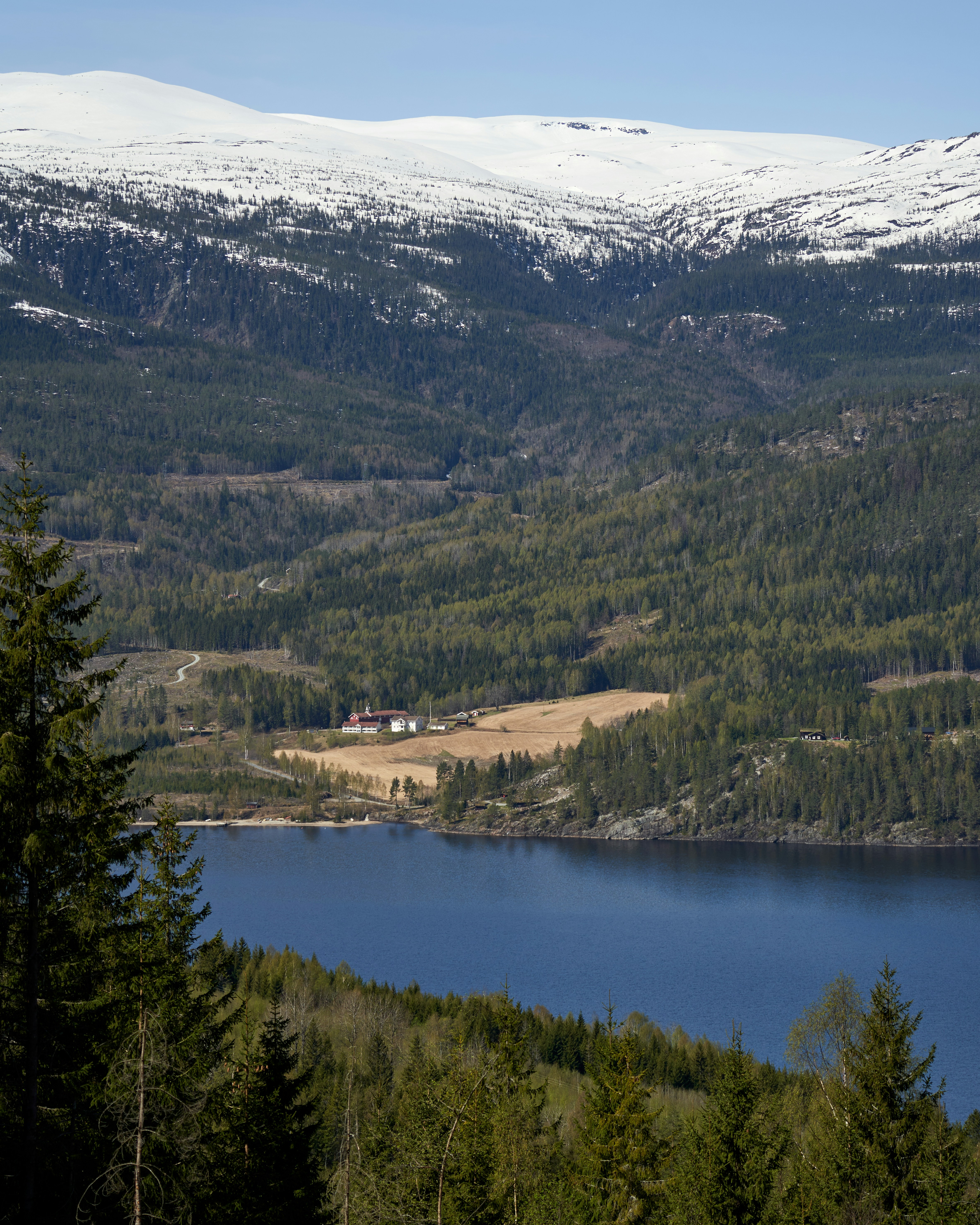 Photo by davotibarna