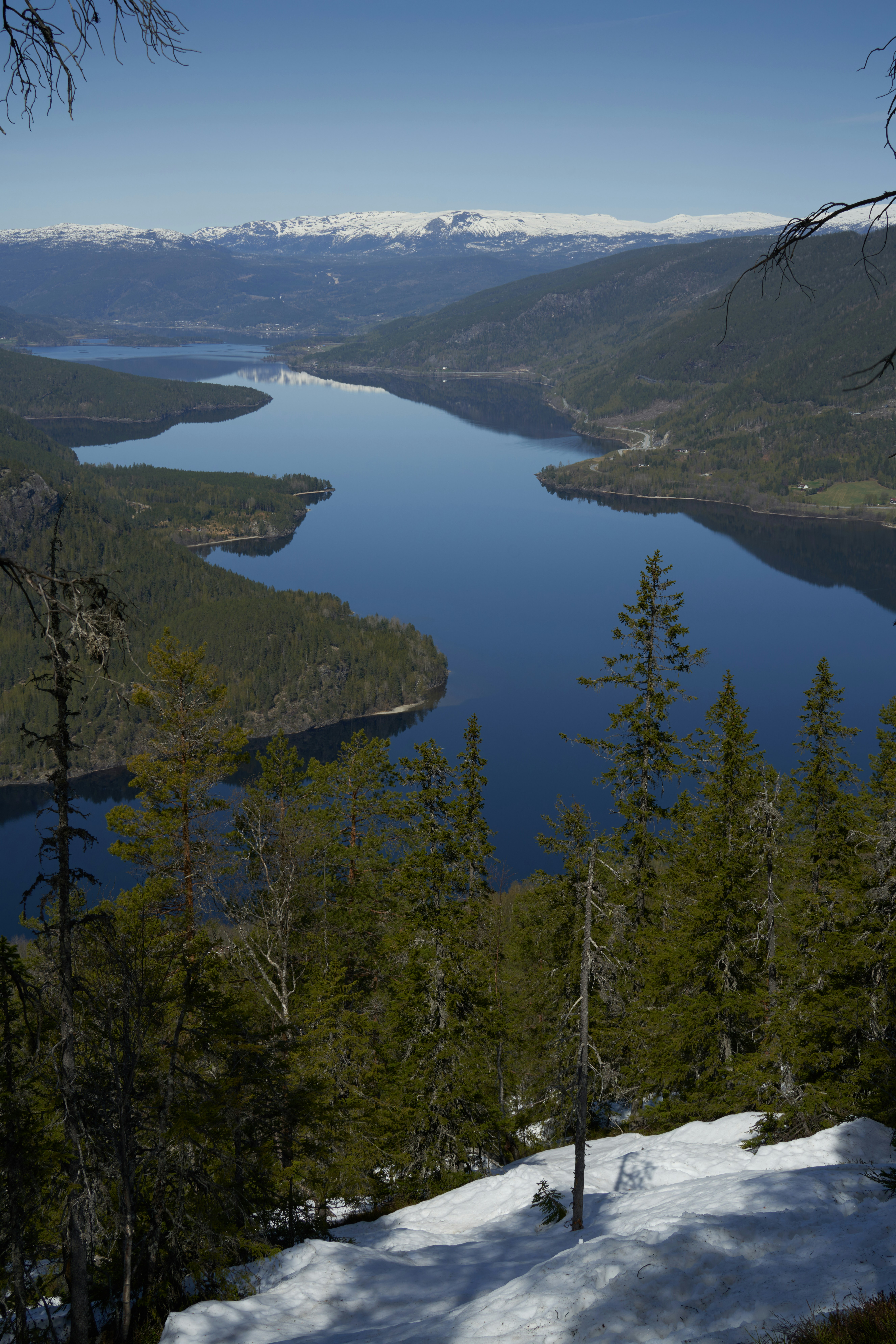 Photo by davotibarna