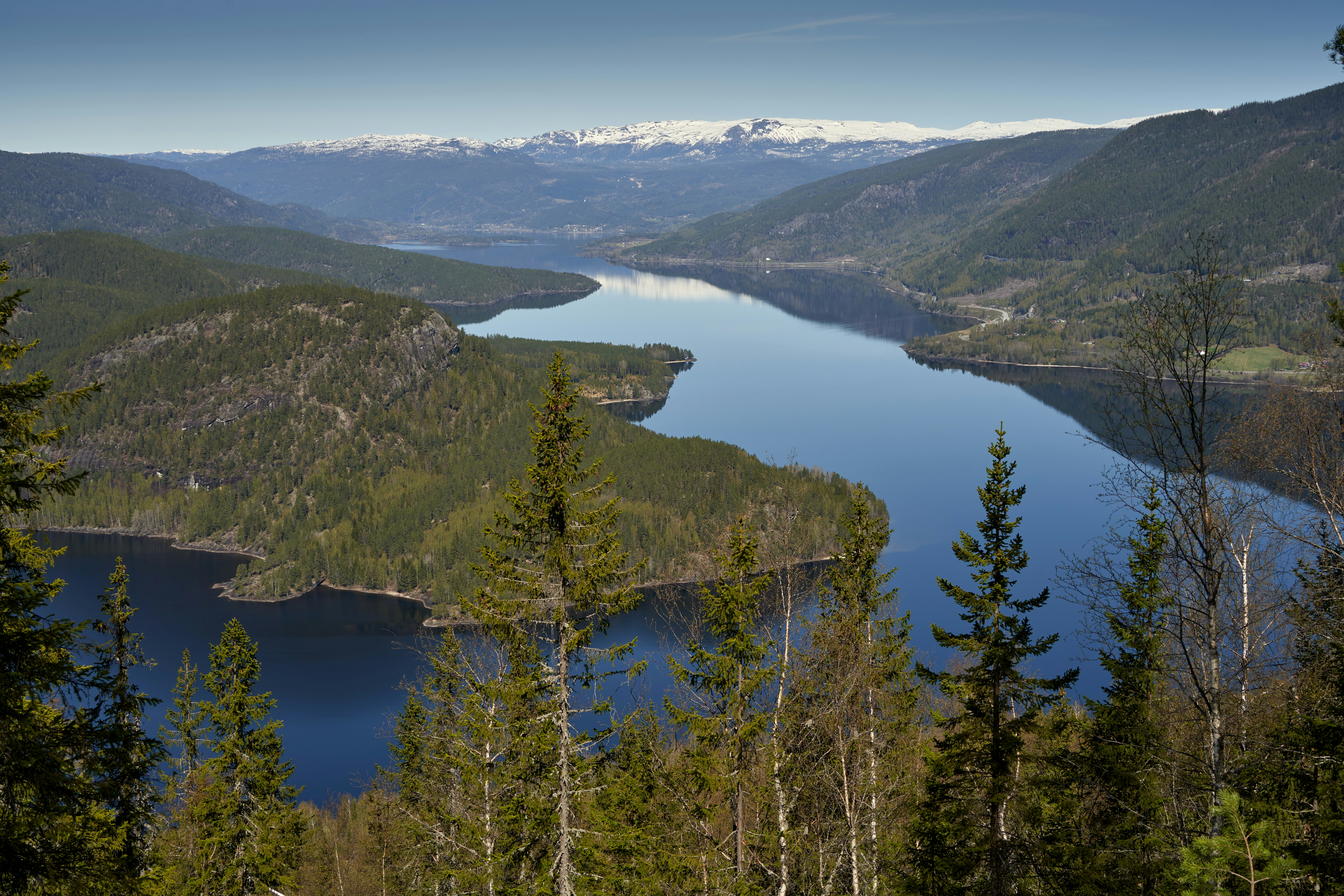 Photo by davotibarna