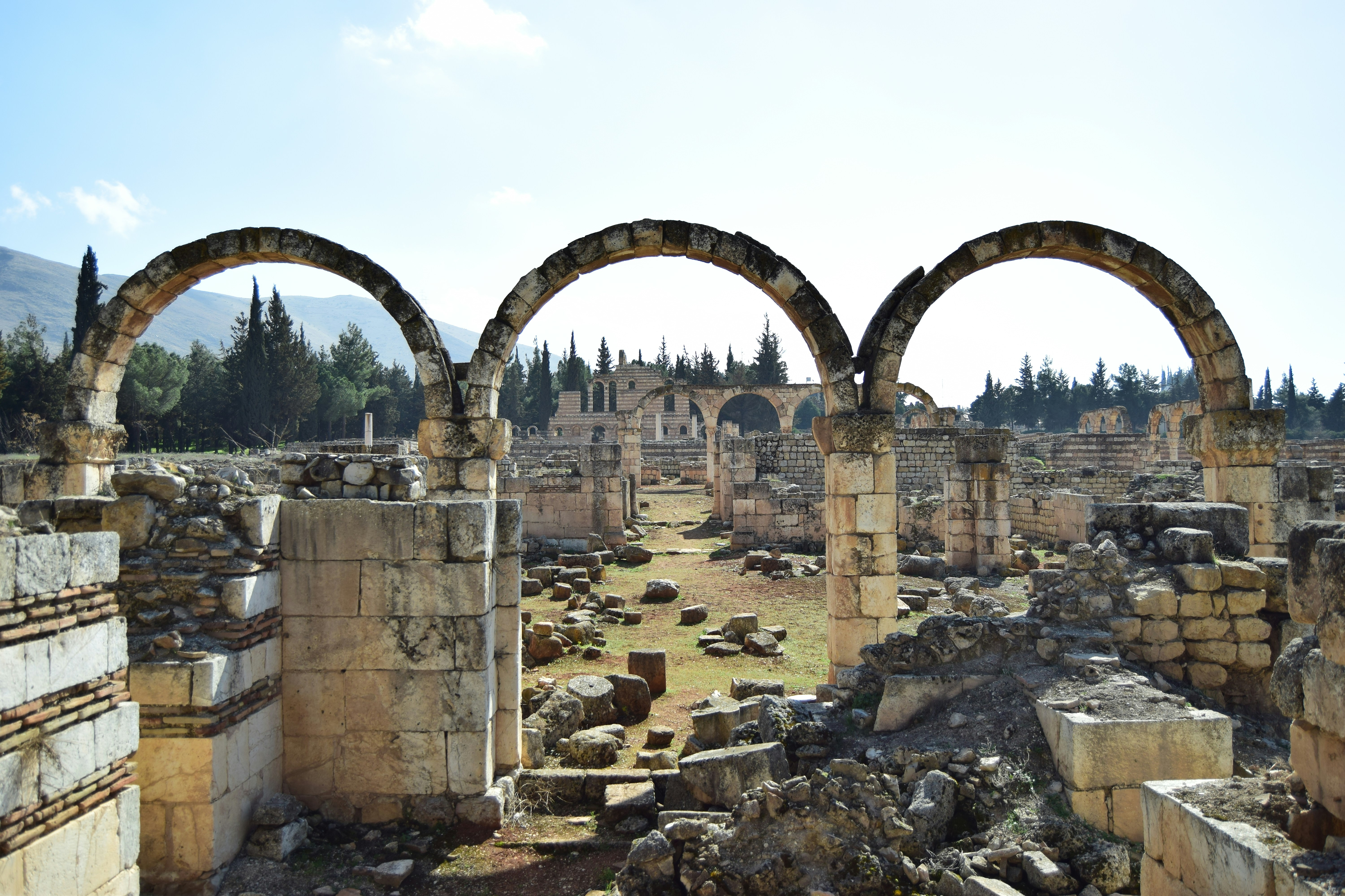 the ruins of the ancient city of ephes