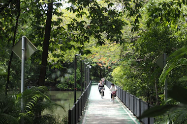 a couple of people that are walking on a bridge