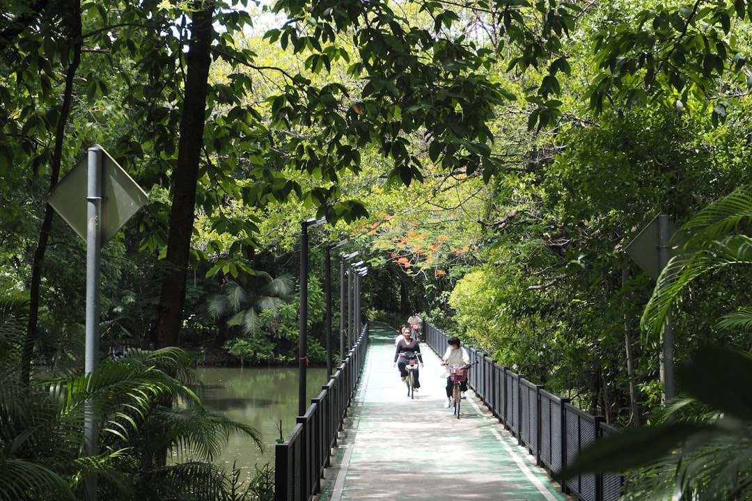 a couple of people that are walking on a bridge,