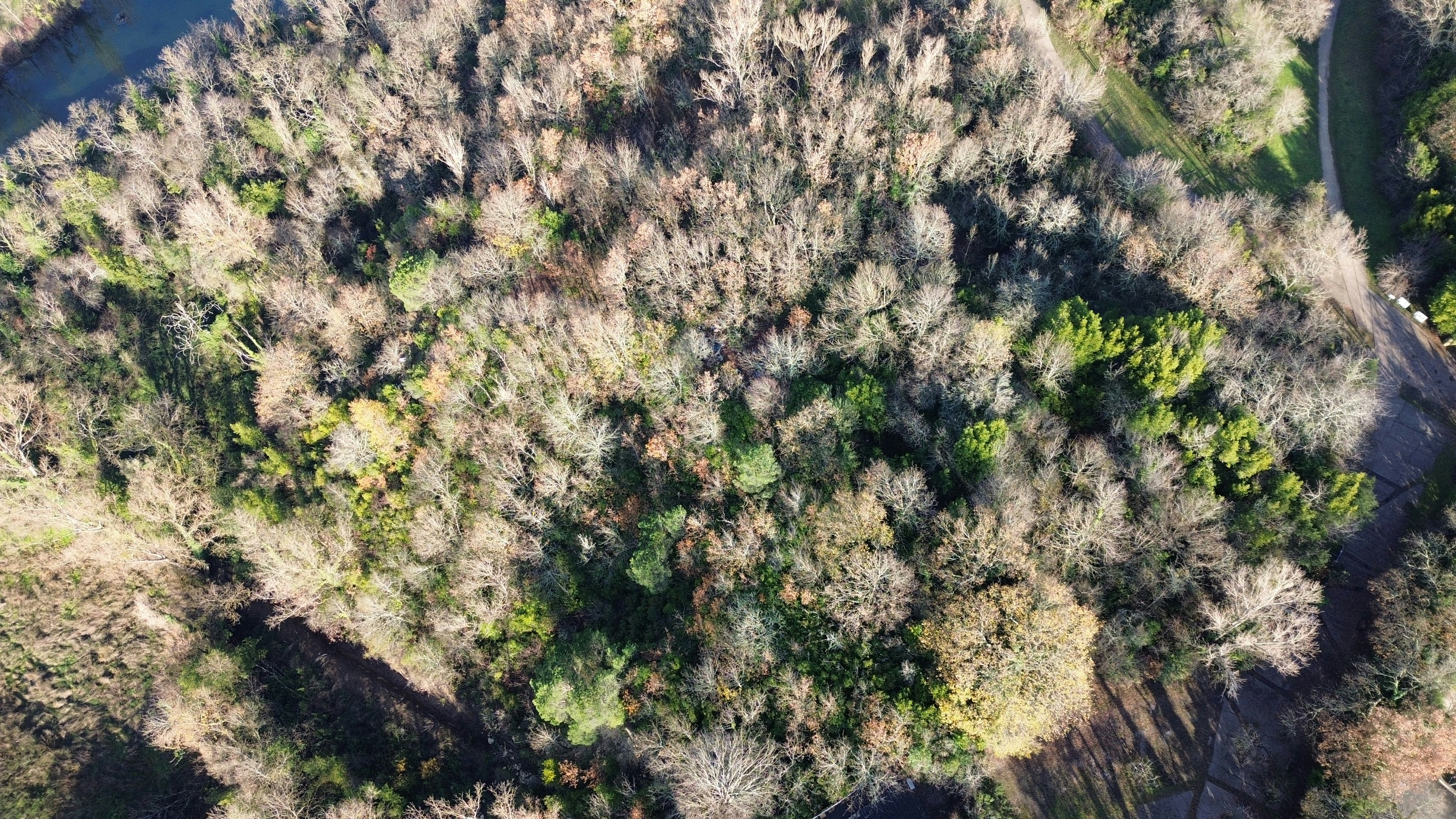 Photo by world_thing