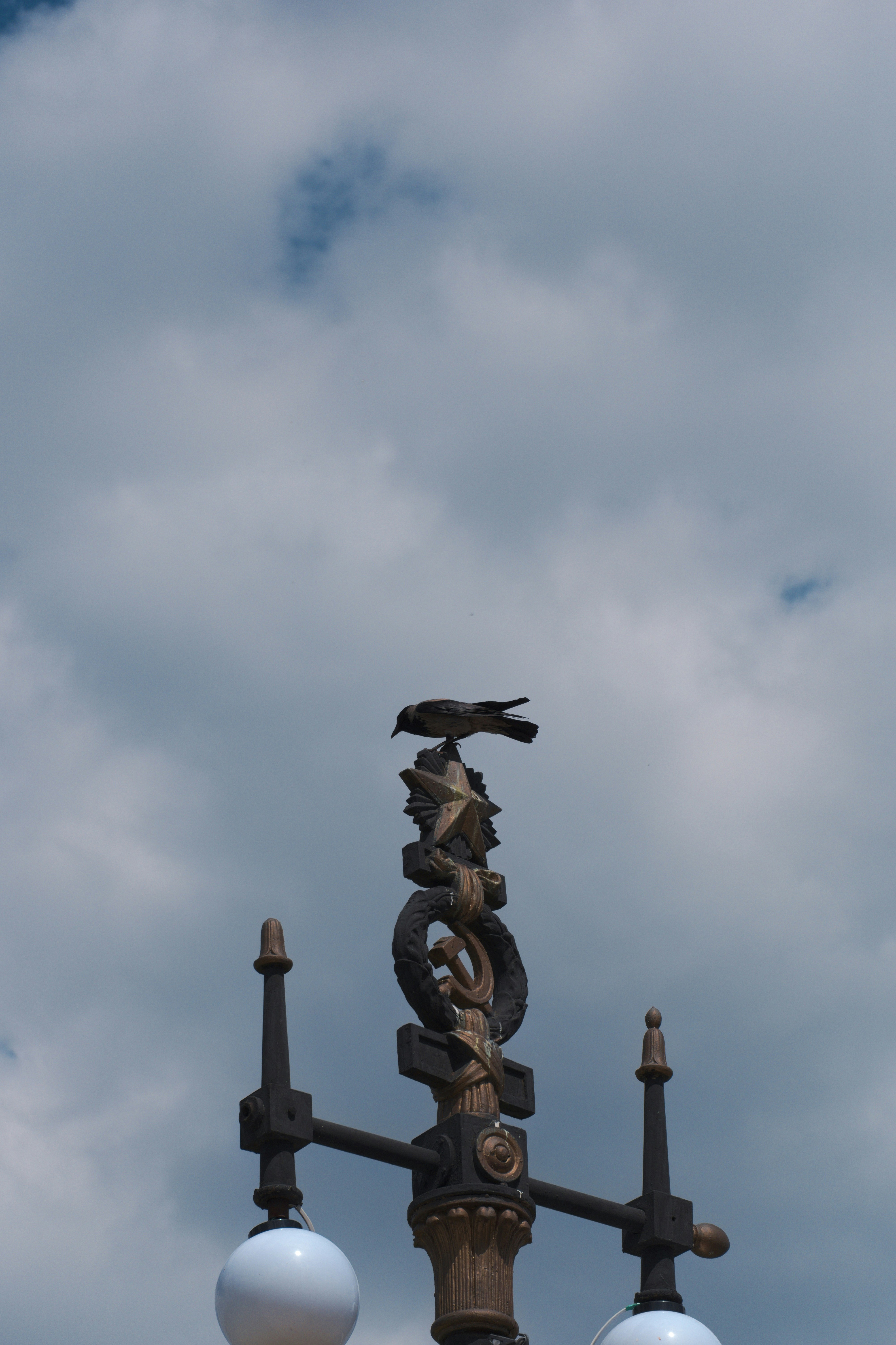 Thumbnail for a containerized machine learning model project