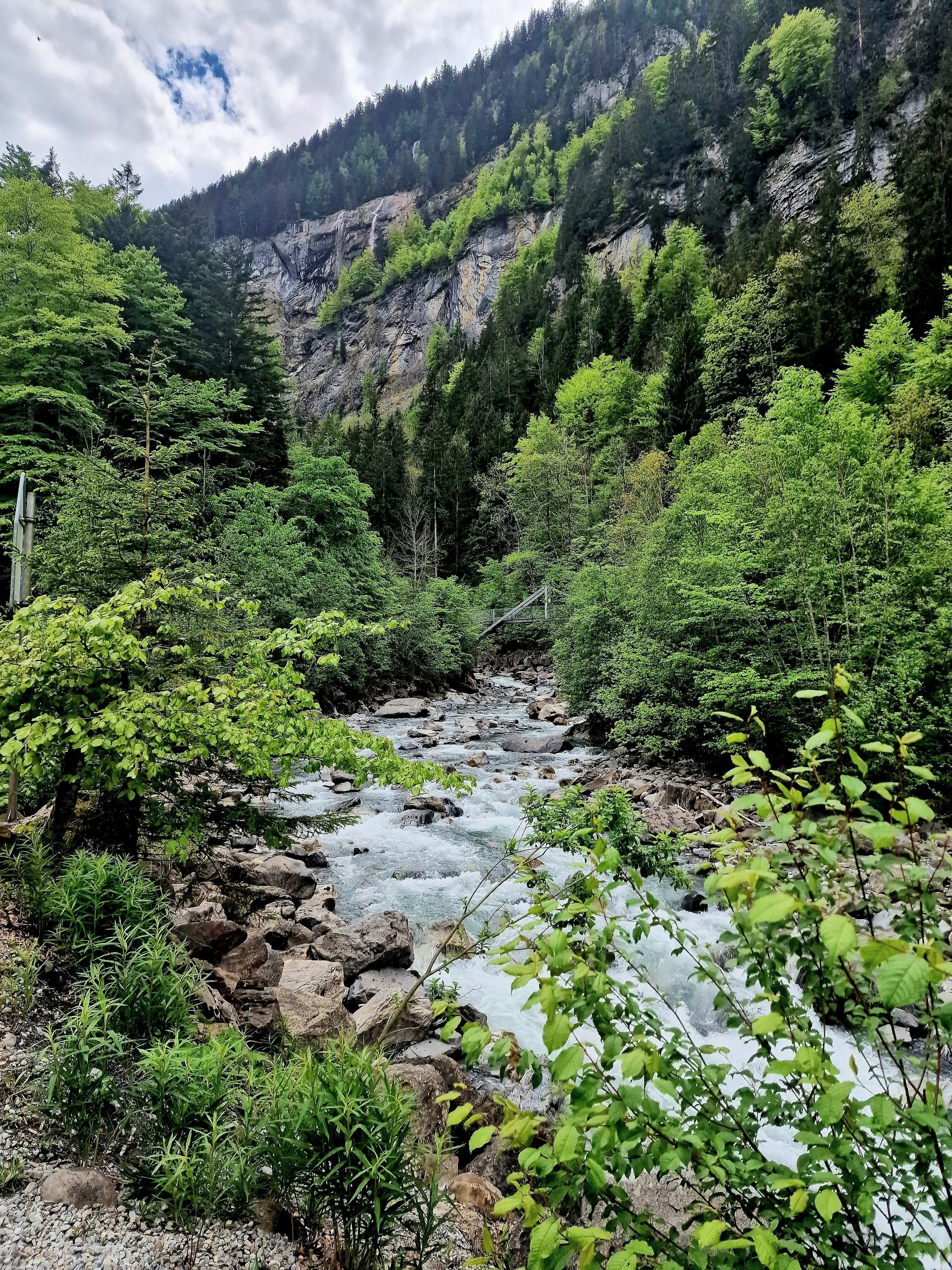 Photo by danielelarosa