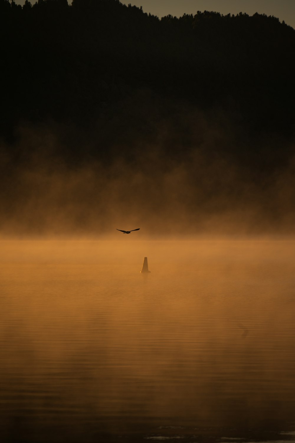 a bird flying over a body of water on a foggy day