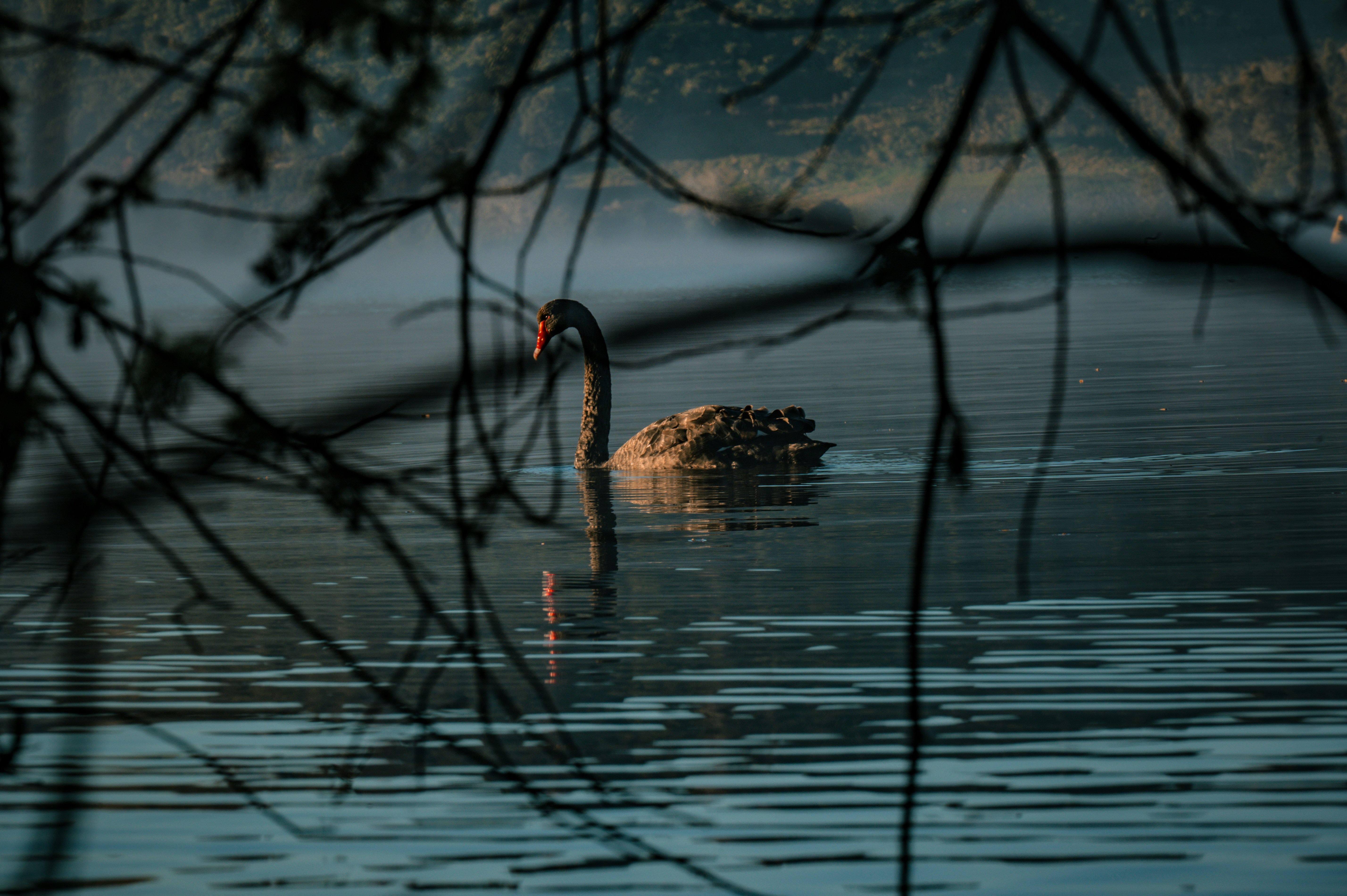 Photo by toby_hall28