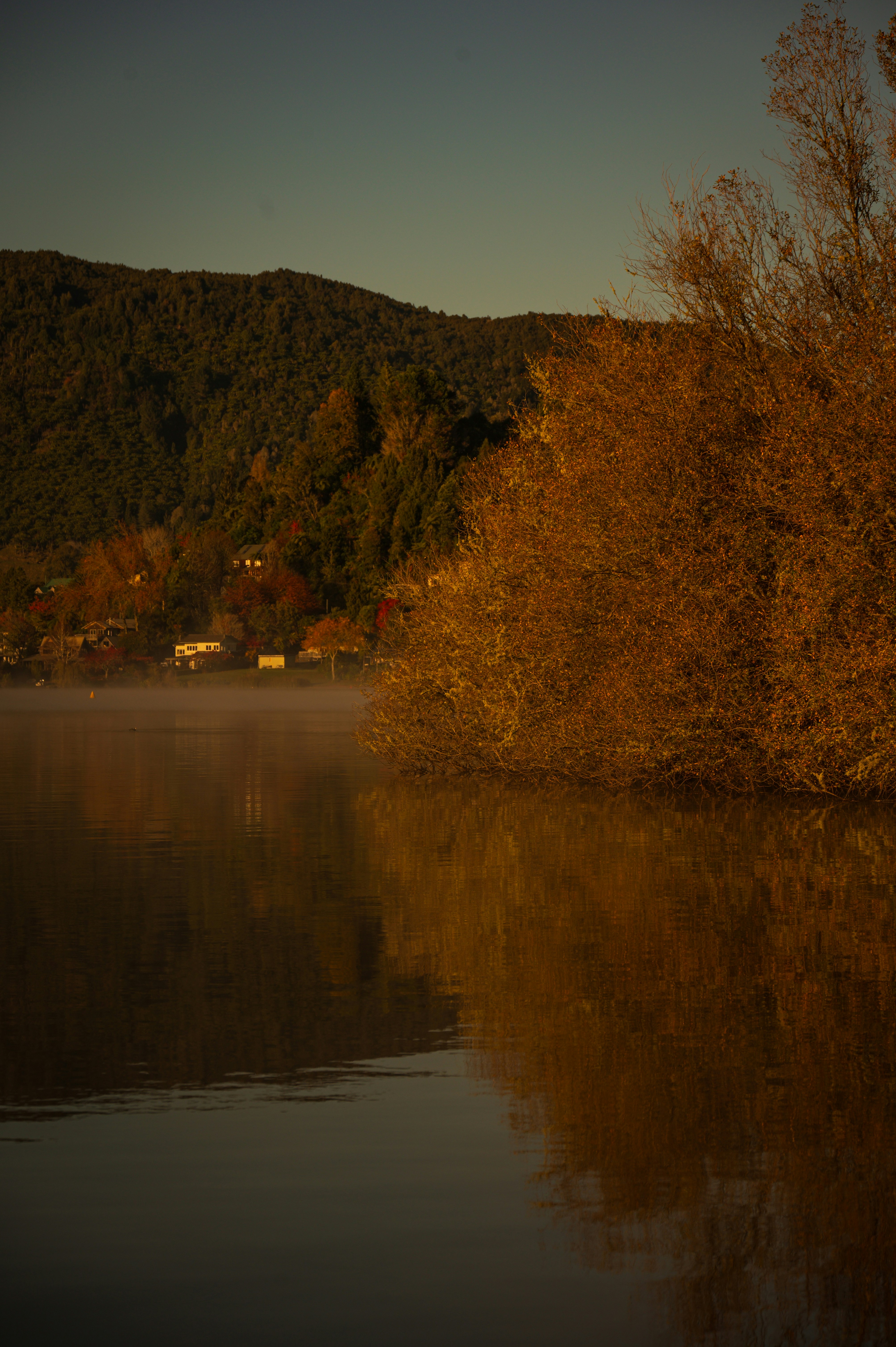 Photo by toby_hall28