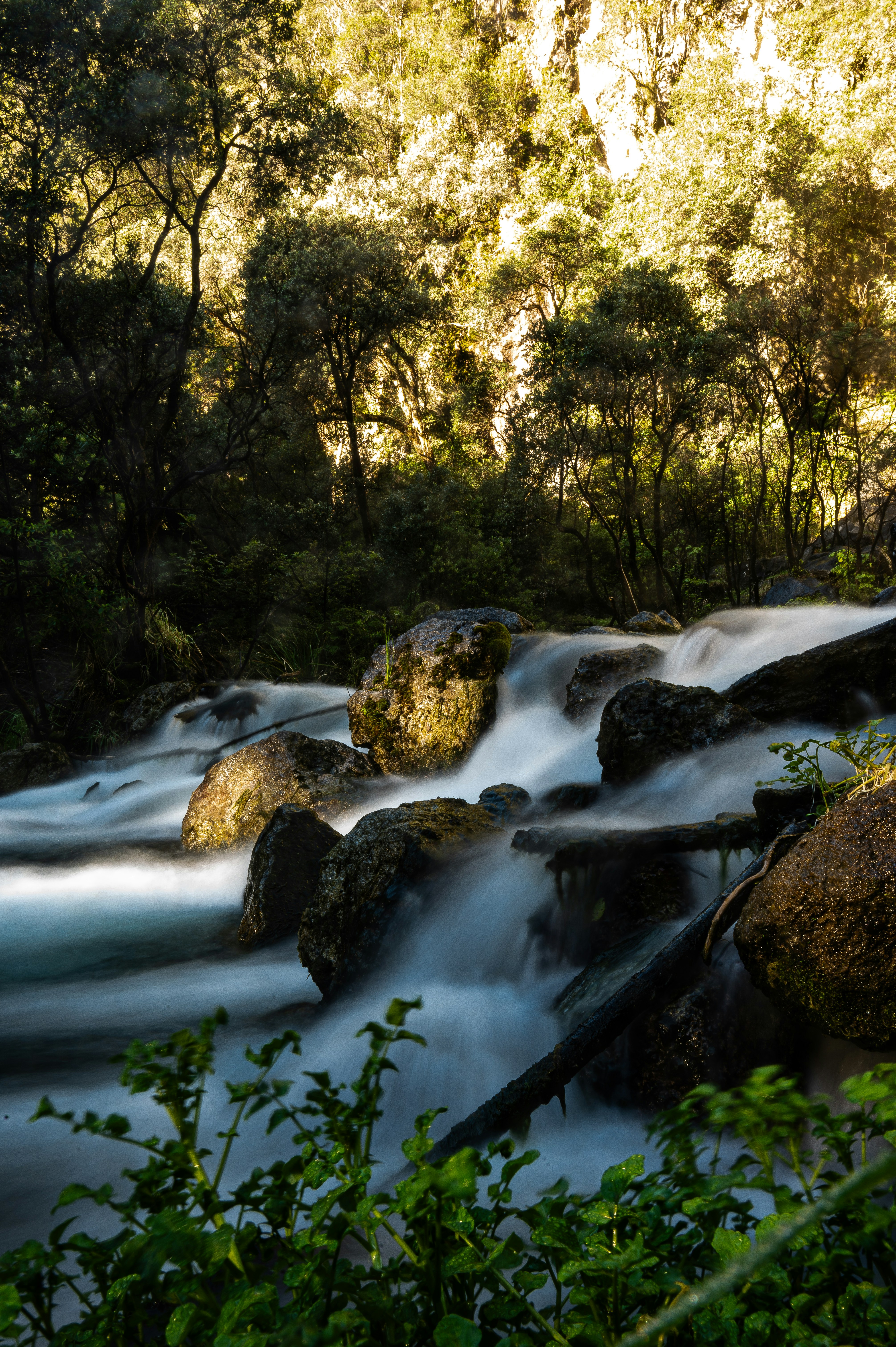 Photo by toby_hall28