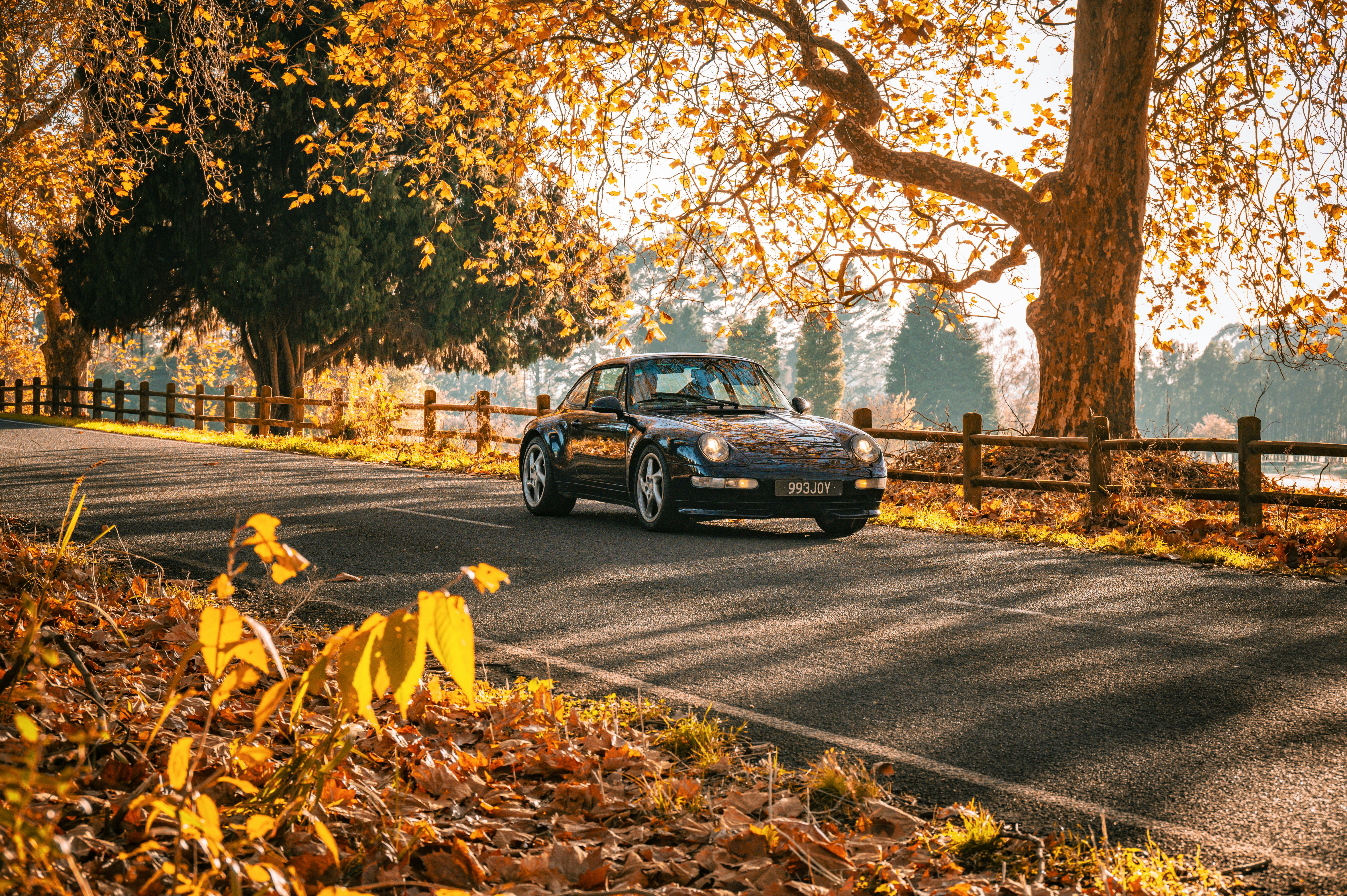 Photo by toby_hall28