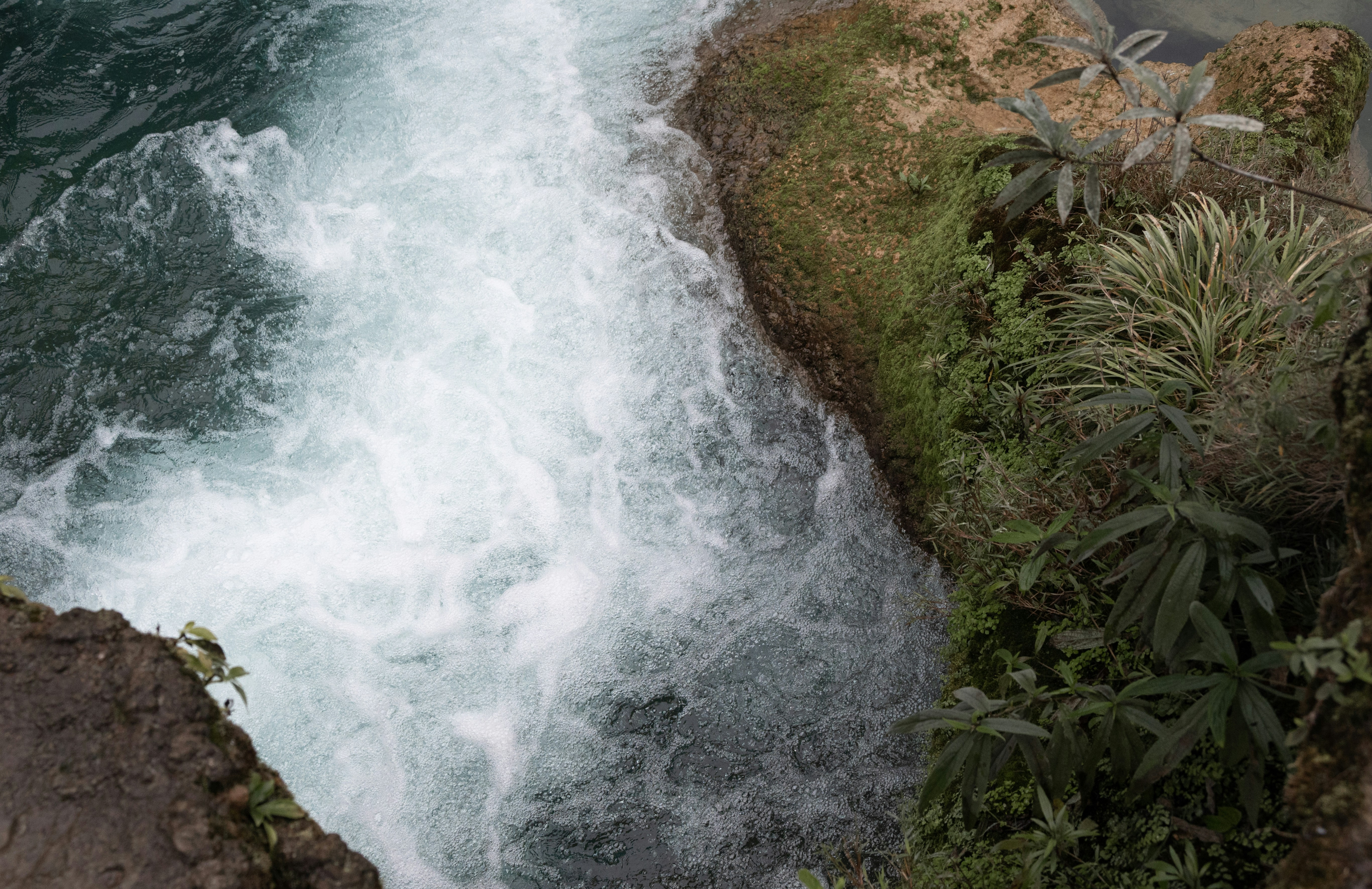 Photo by nikol_royce