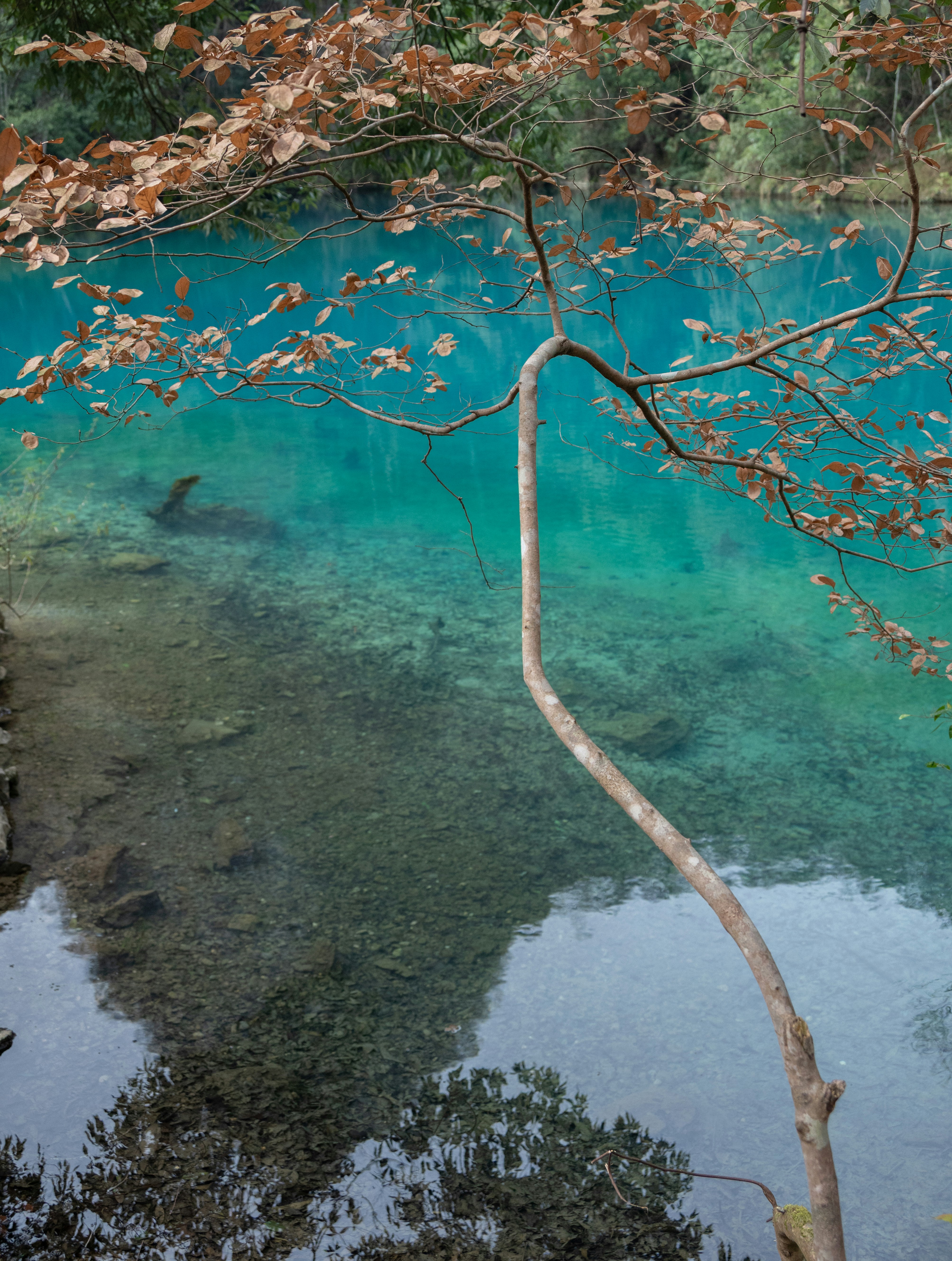 Photo by nikol_royce