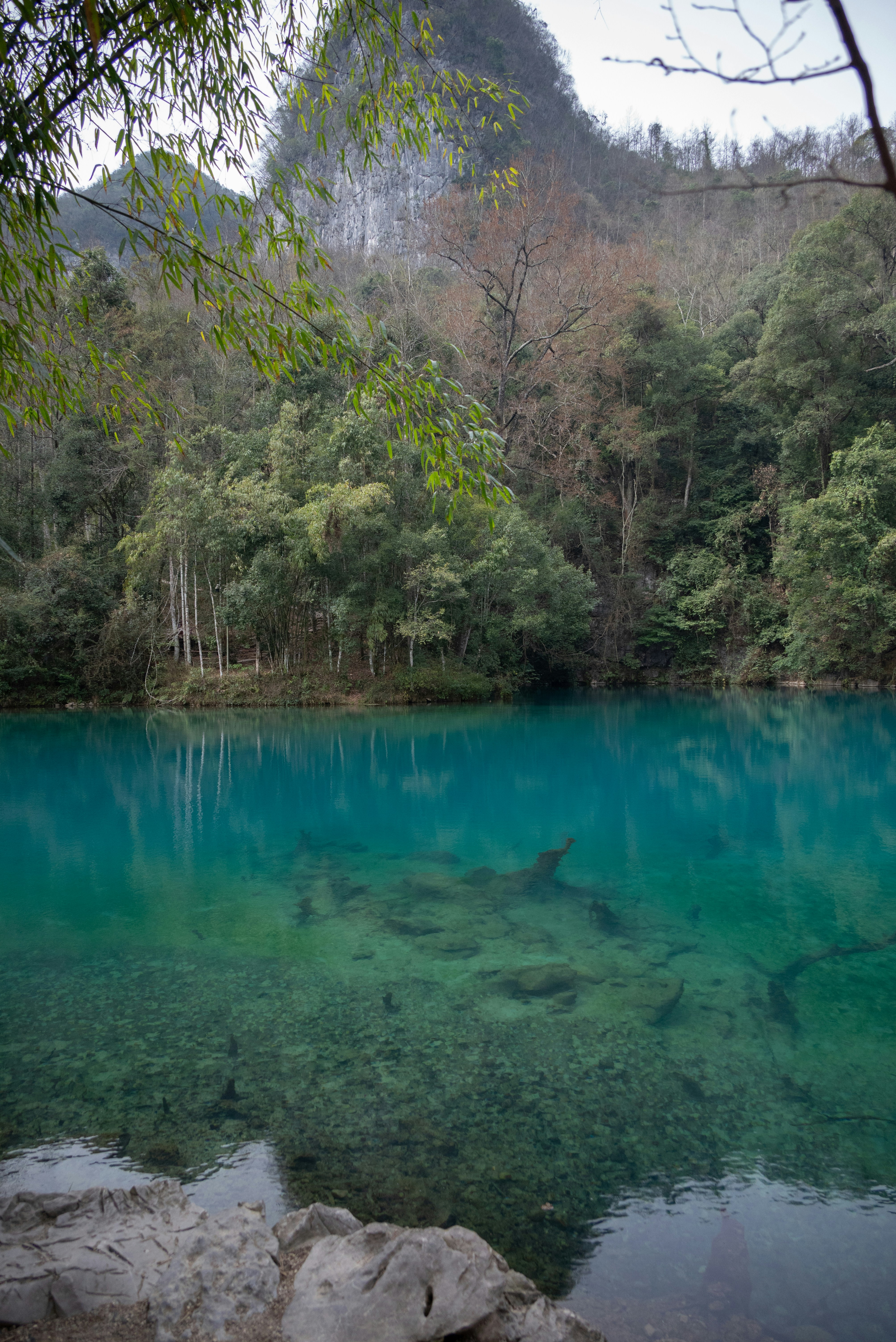 Photo by nikol_royce