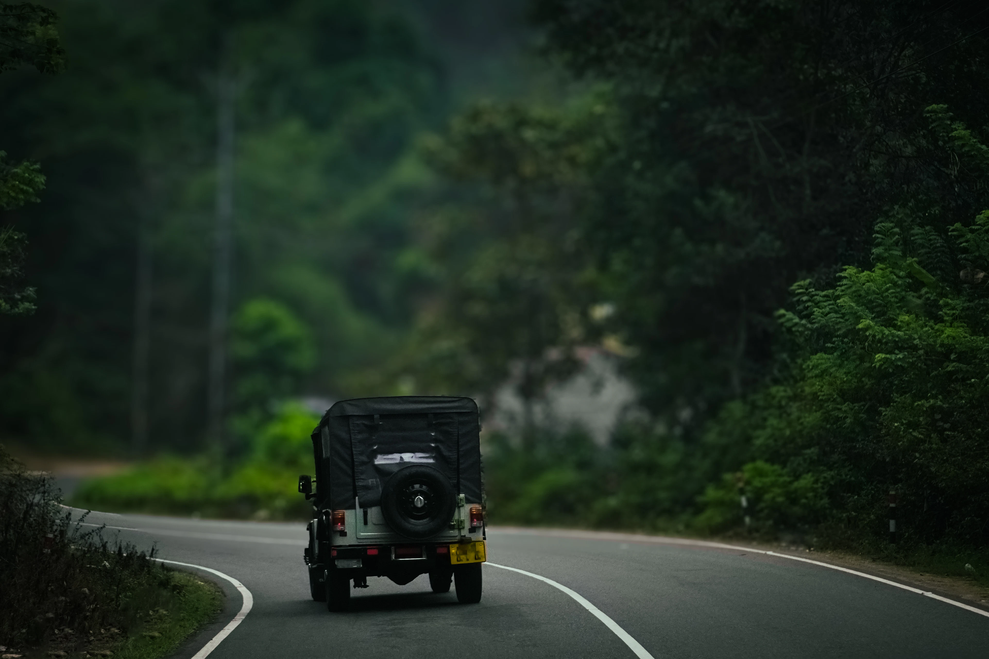 Jeep safari cutting through Periyar Tiger Reserve
