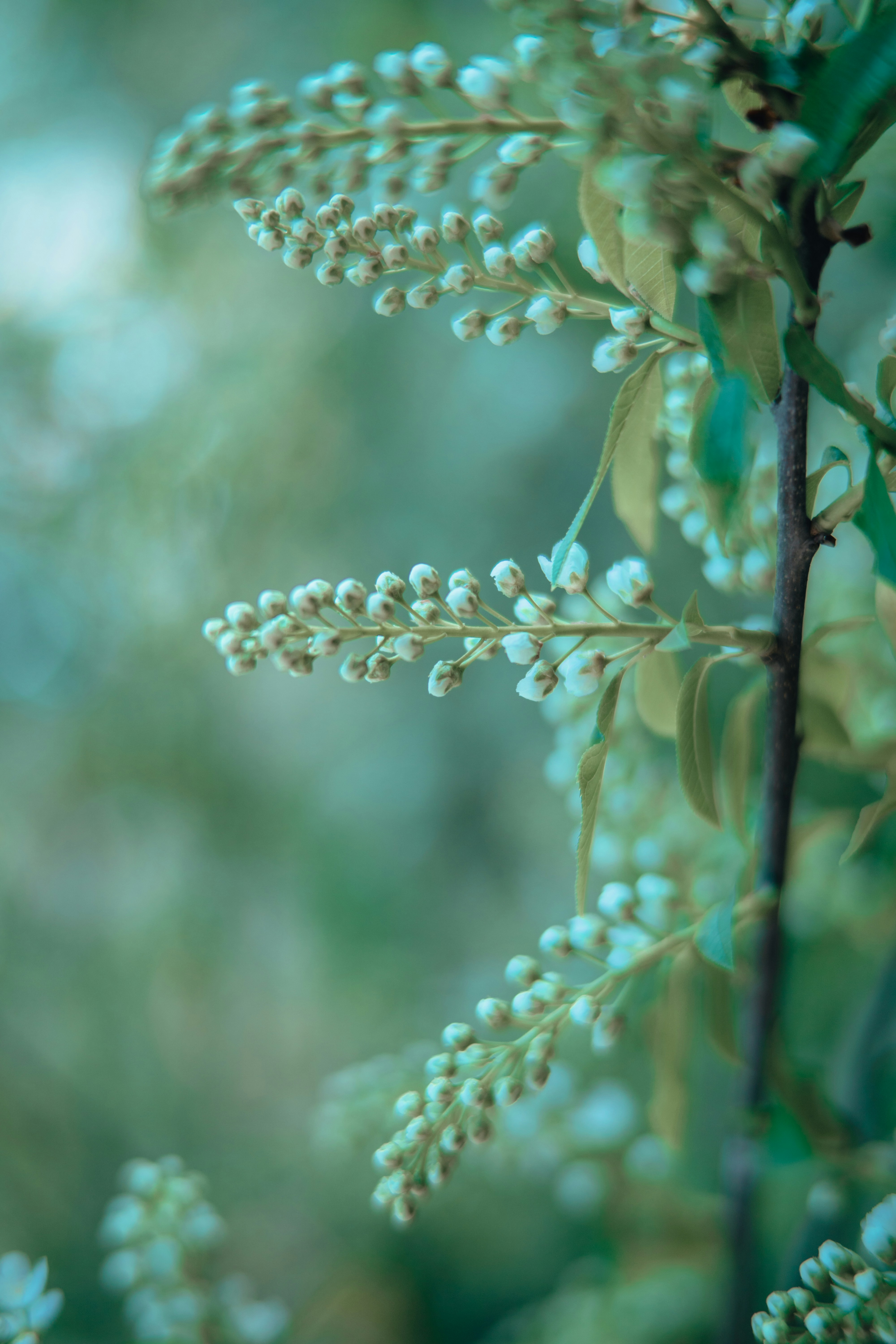 Photo by anamnesis33