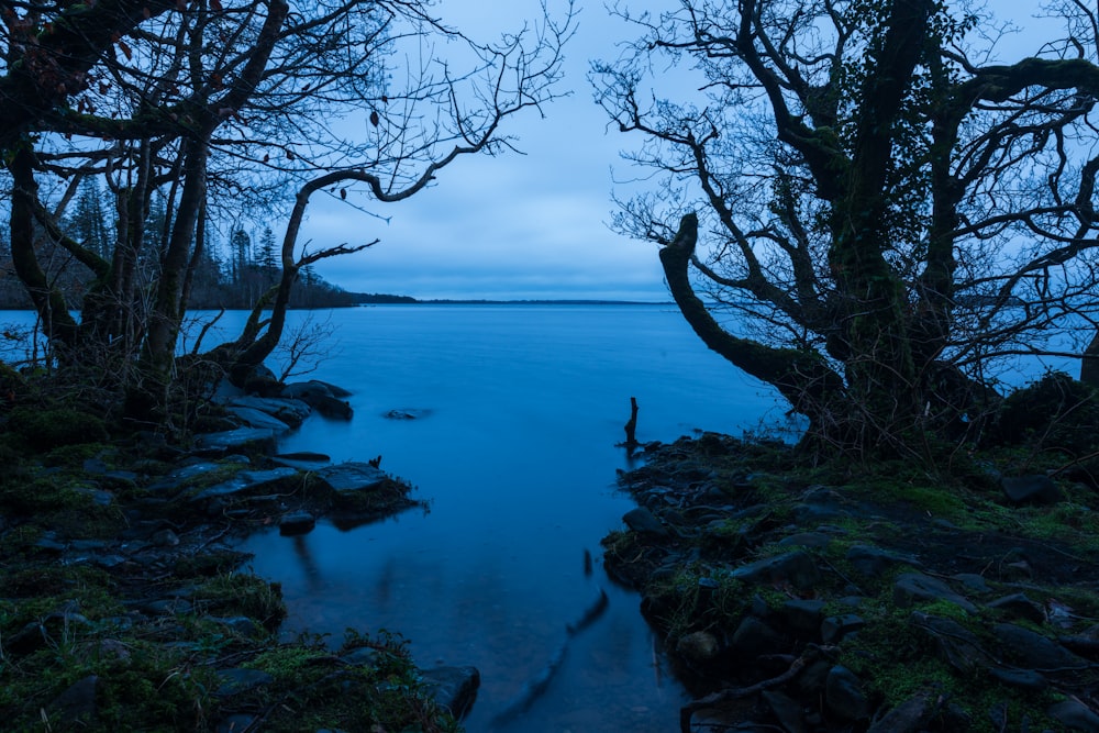 a body of water surrounded by trees on a cloudy day