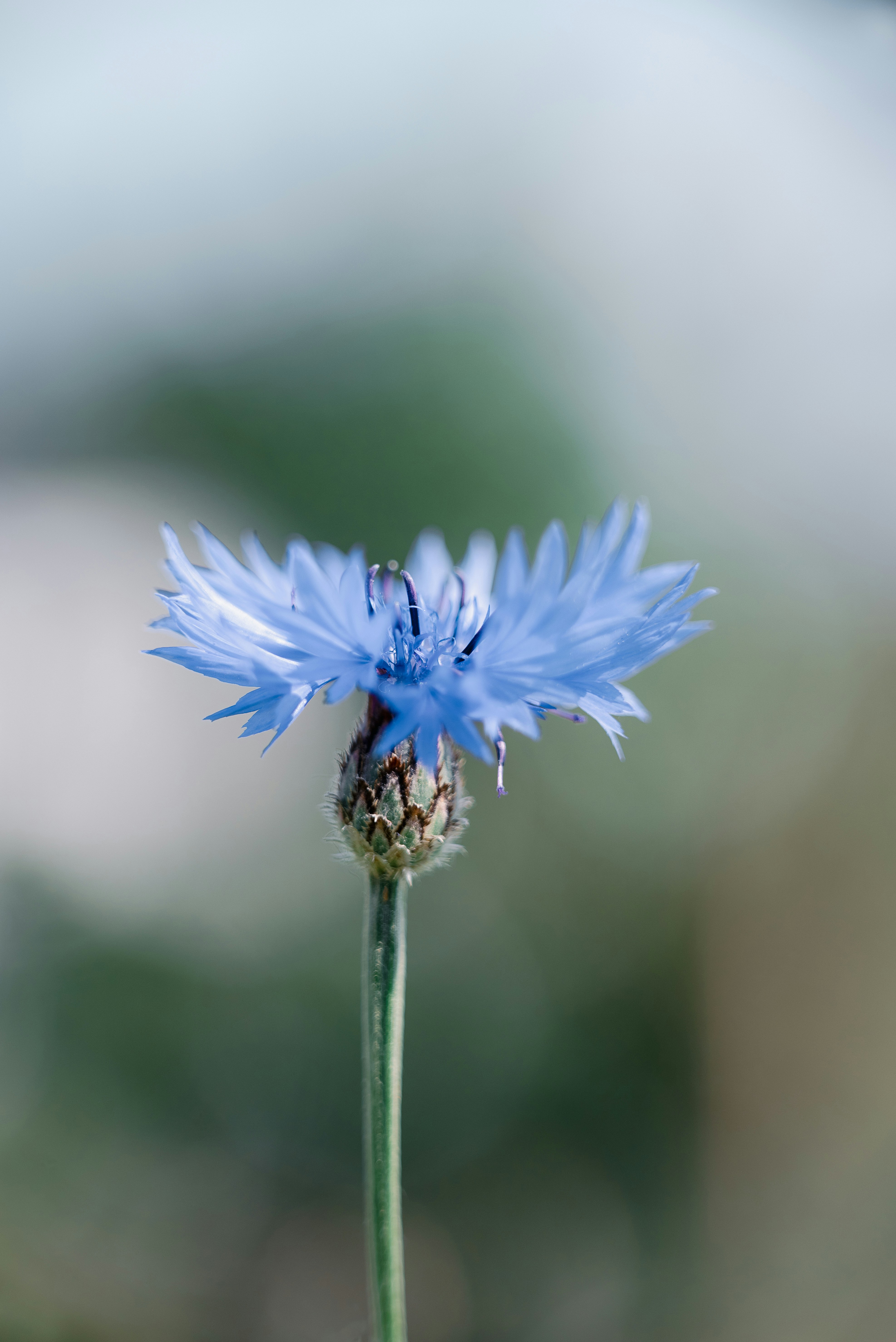 Photo by jetztabertempo