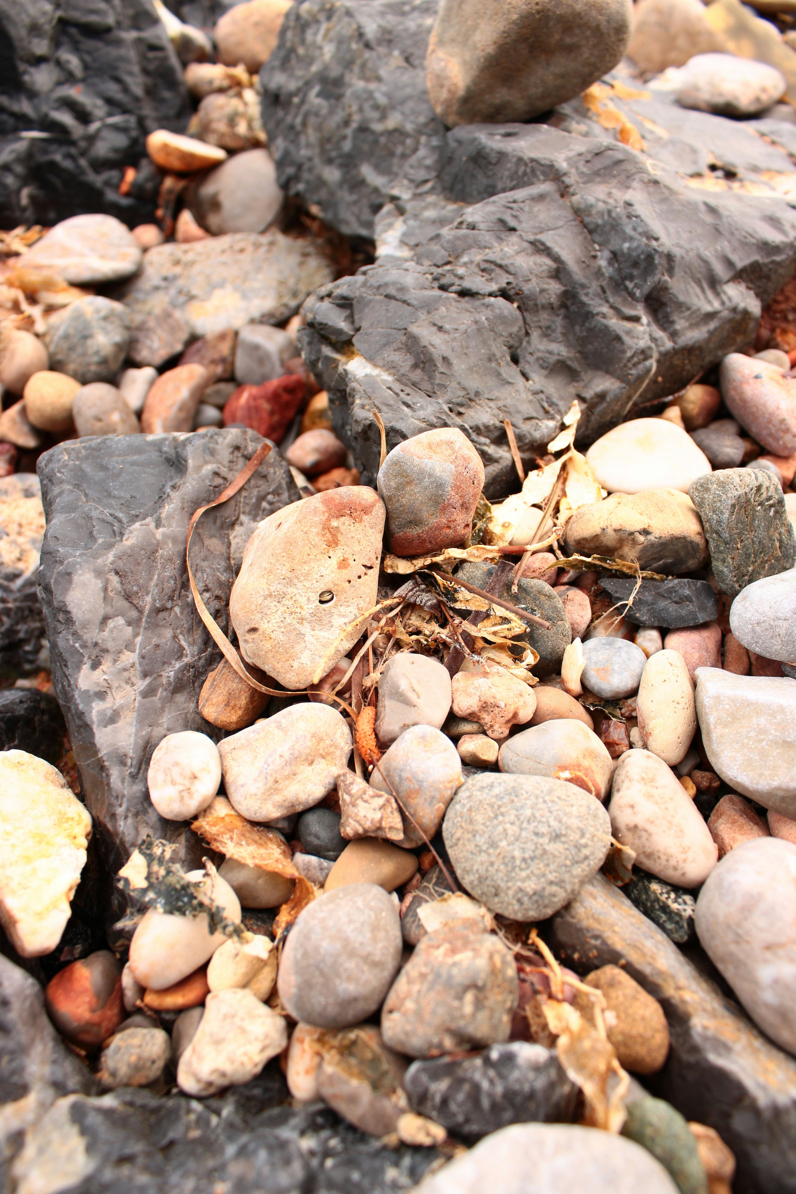 Photo by mary_karletsoy