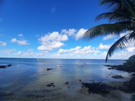 a view of a beach with boats in the water