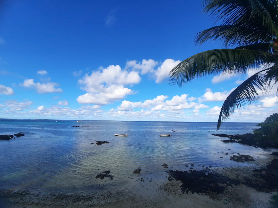 Tonga