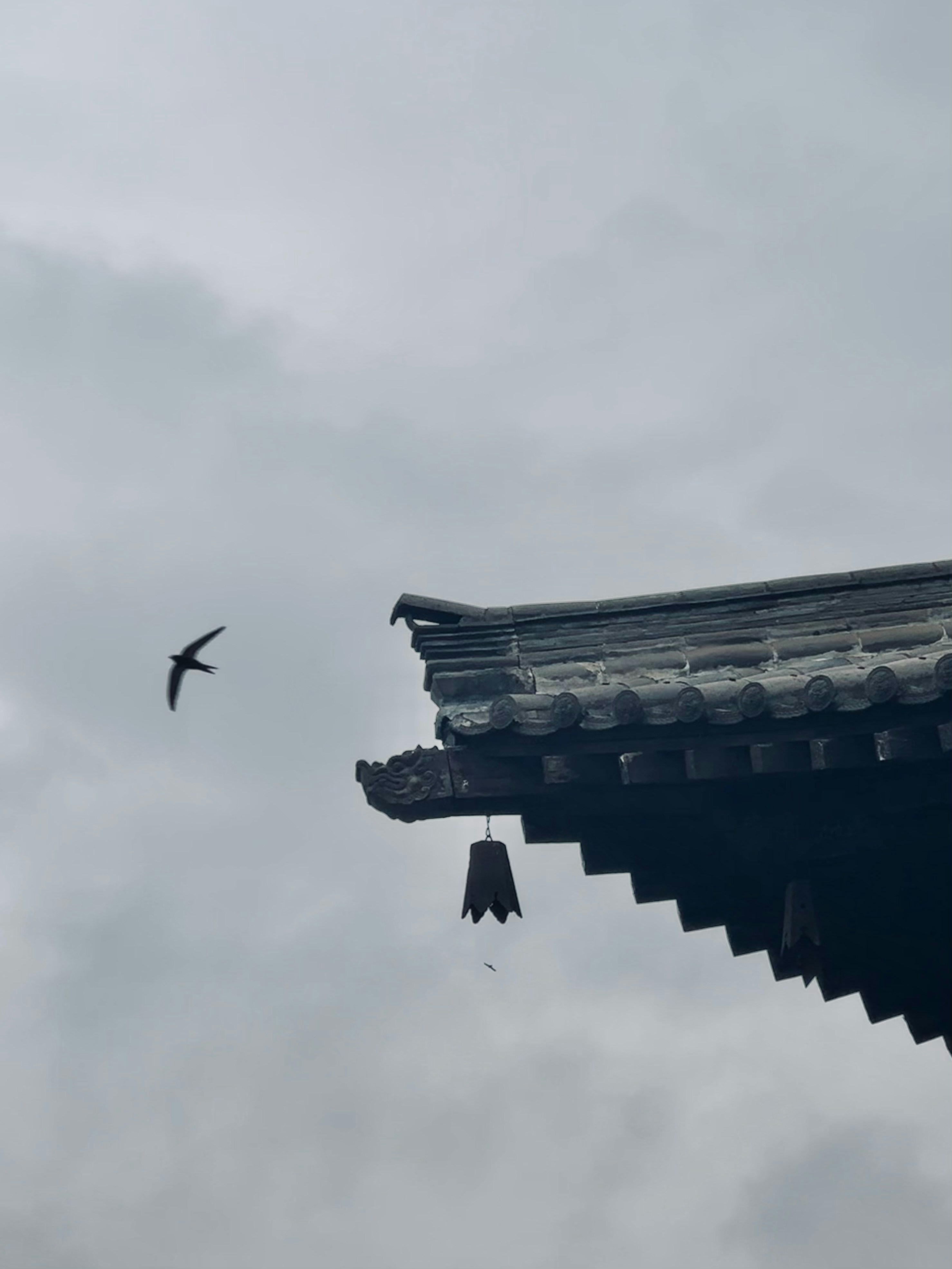 a bird flying over a roof with a sky background